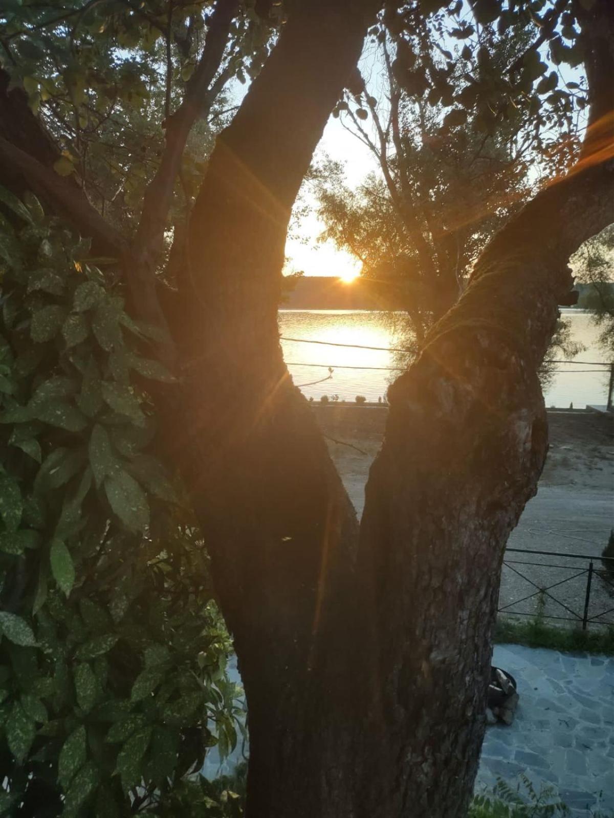 Bora kuće na reci view 5