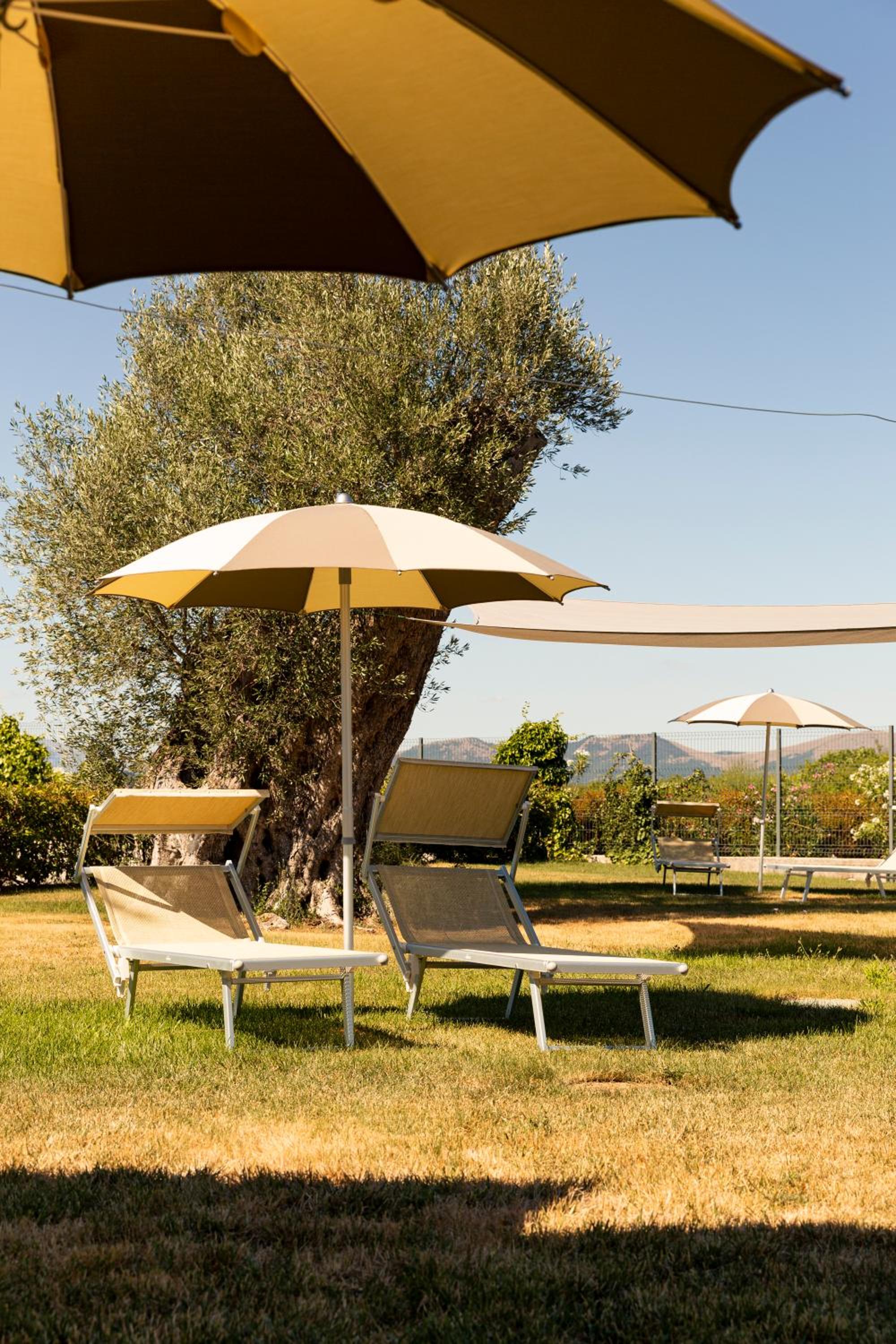 Tenuta Borgo Santa Cecilia