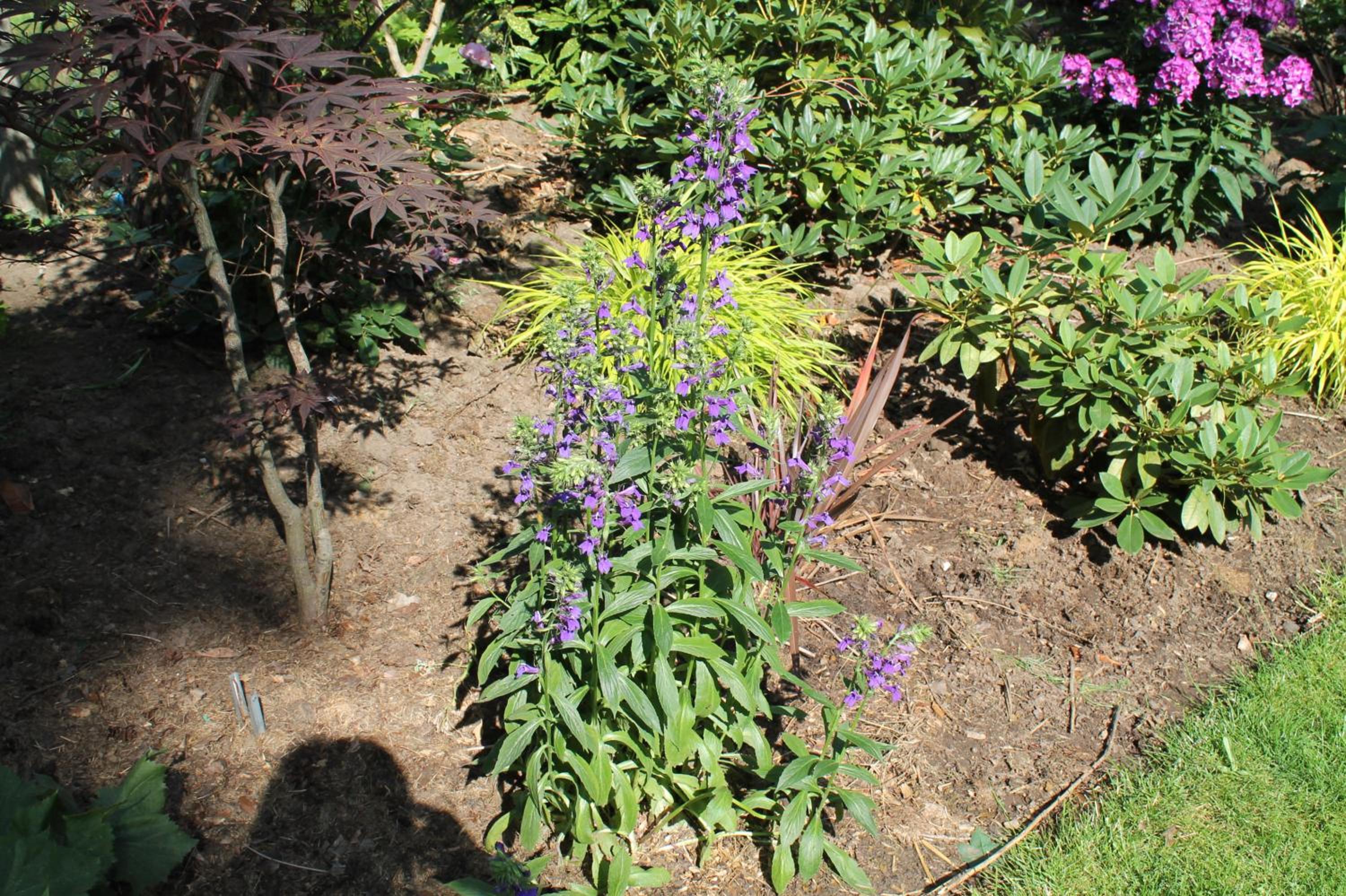 Photo 31