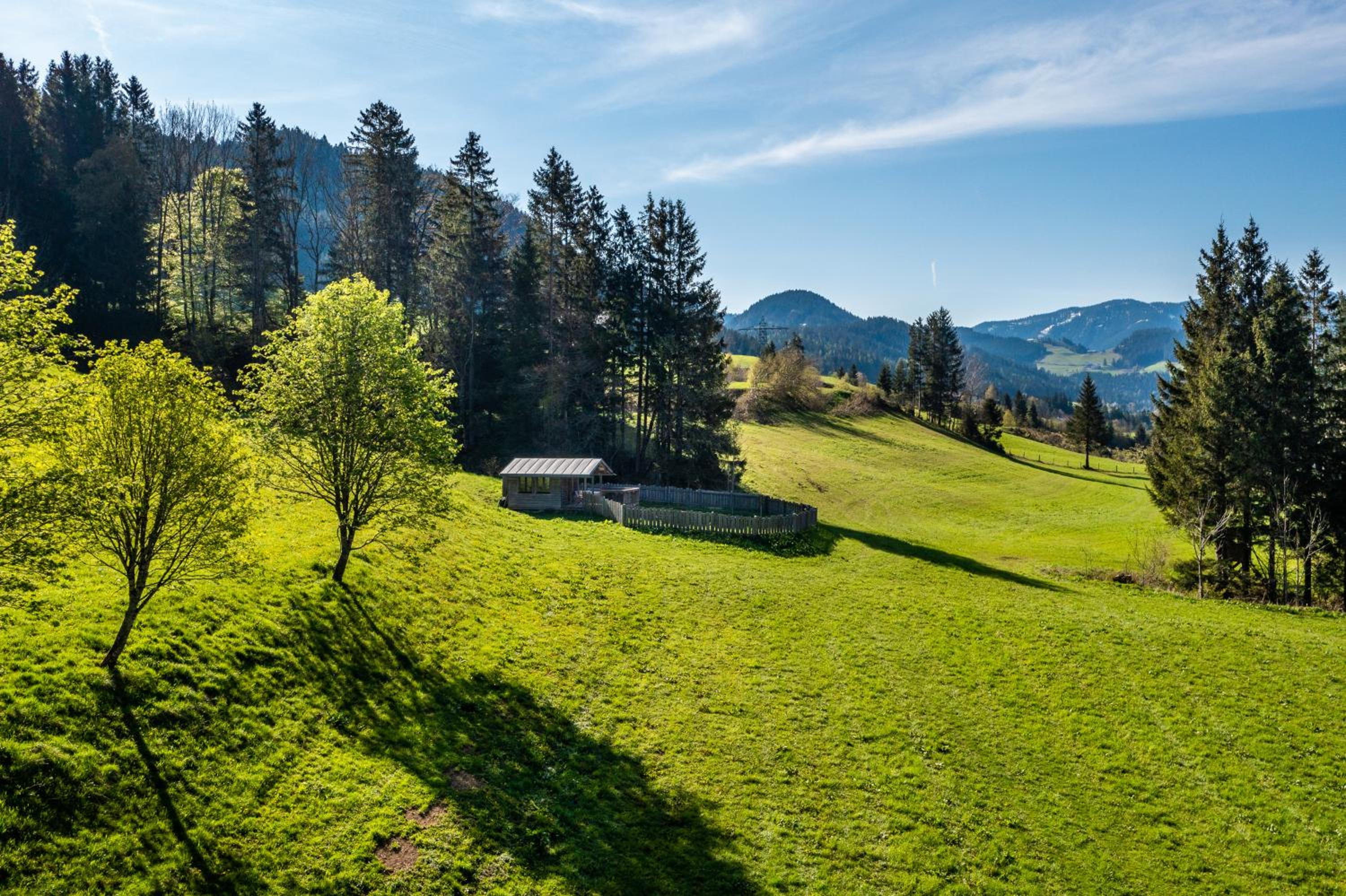 Urlaubsparadies Bogenhof - 5 Minuten zum Lift