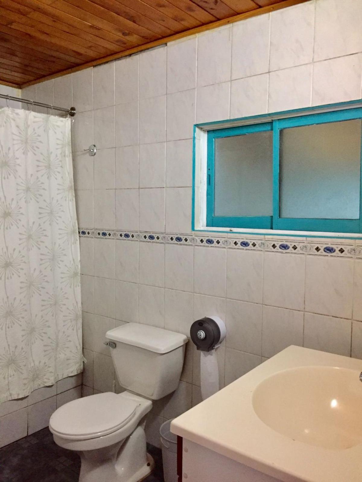 Hostel Raíz