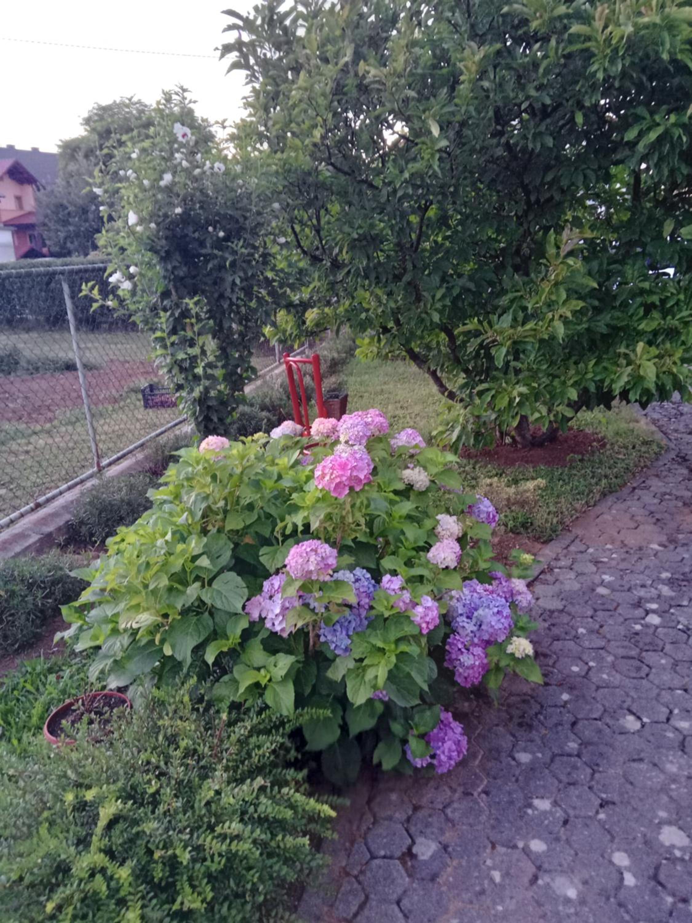 Photo 32
