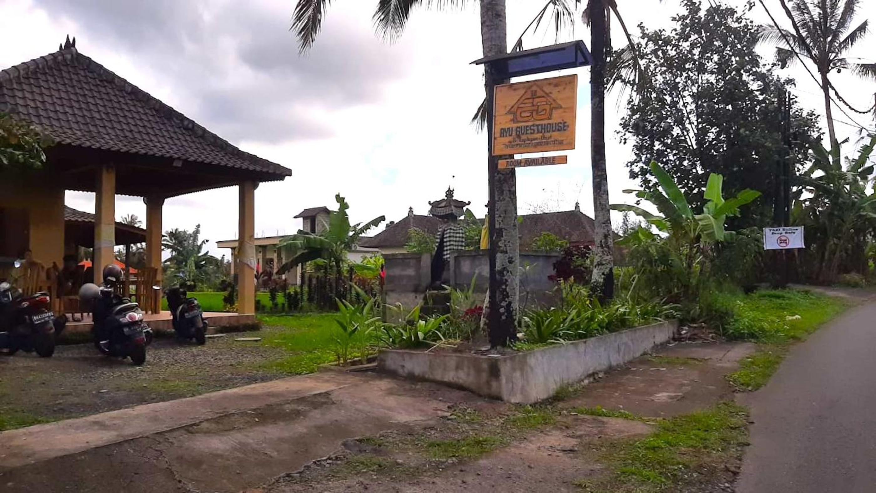 Ayu Guesthouse Ubud view 2
