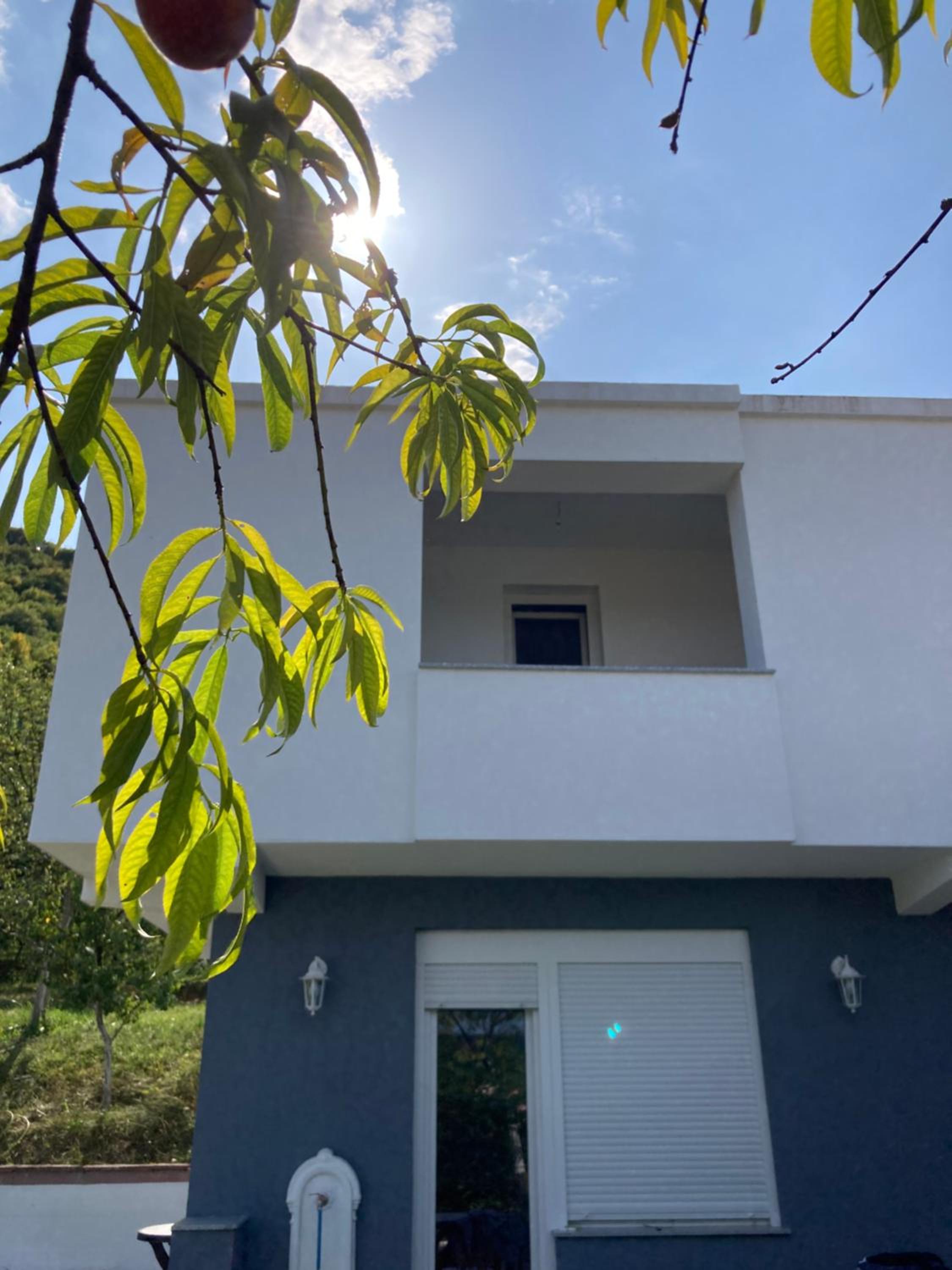 Resting House Oaza