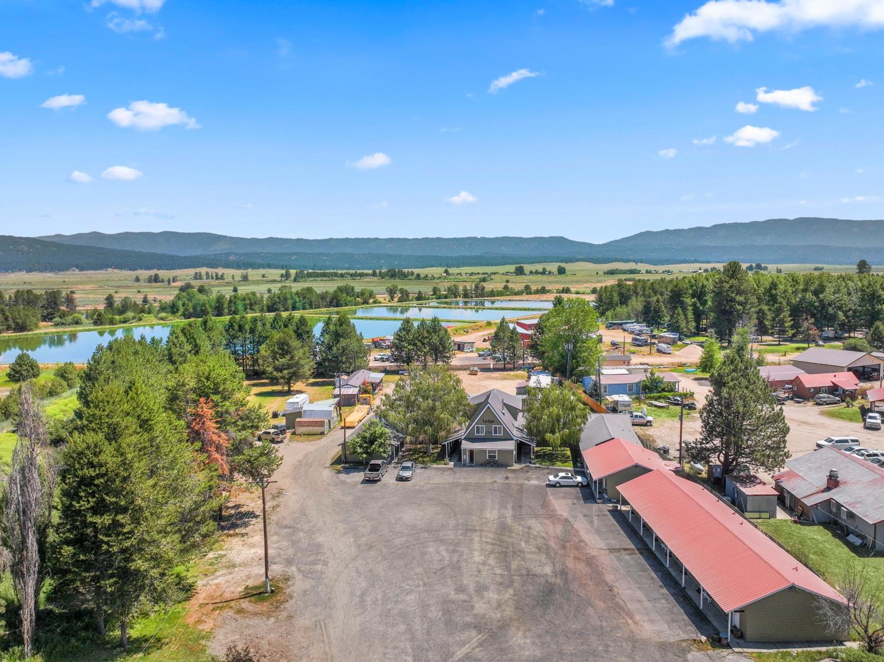 Photo 55
