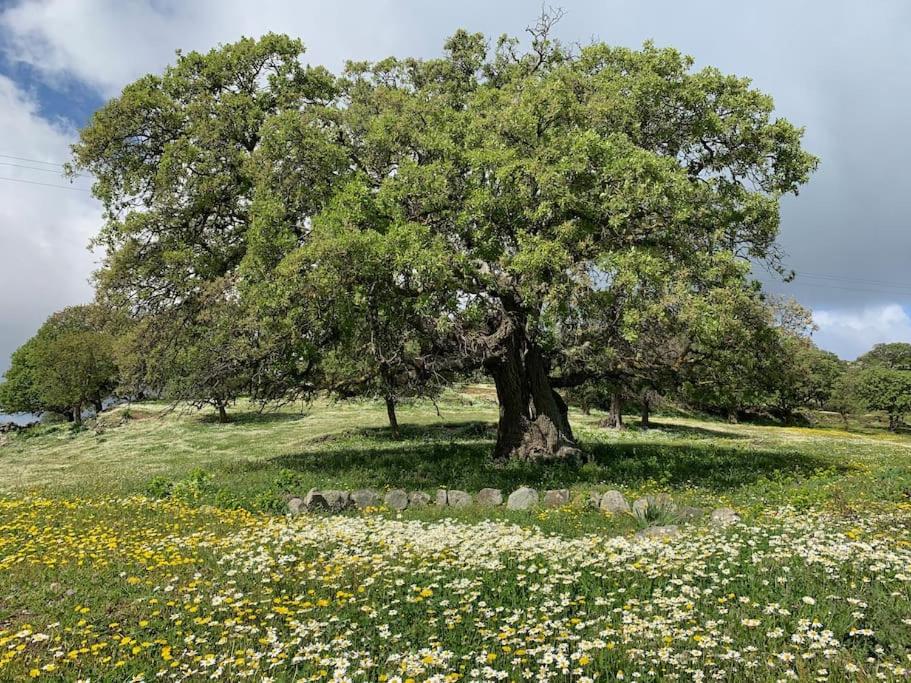 Traumhaus Nisyros