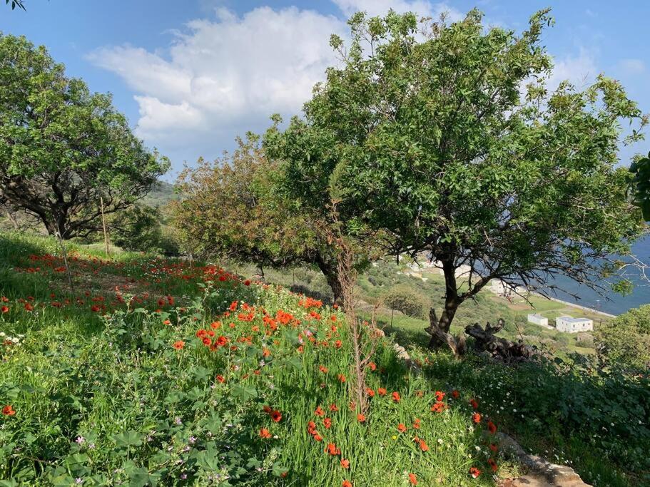 Traumhaus Nisyros