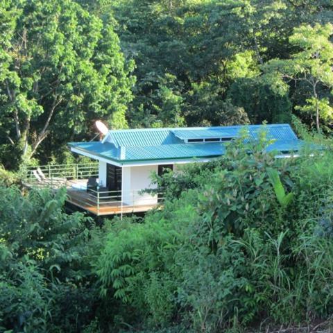 Tropical Paradise Villa - Beautiful Pool, Surrounded by Nature and Wildlife!