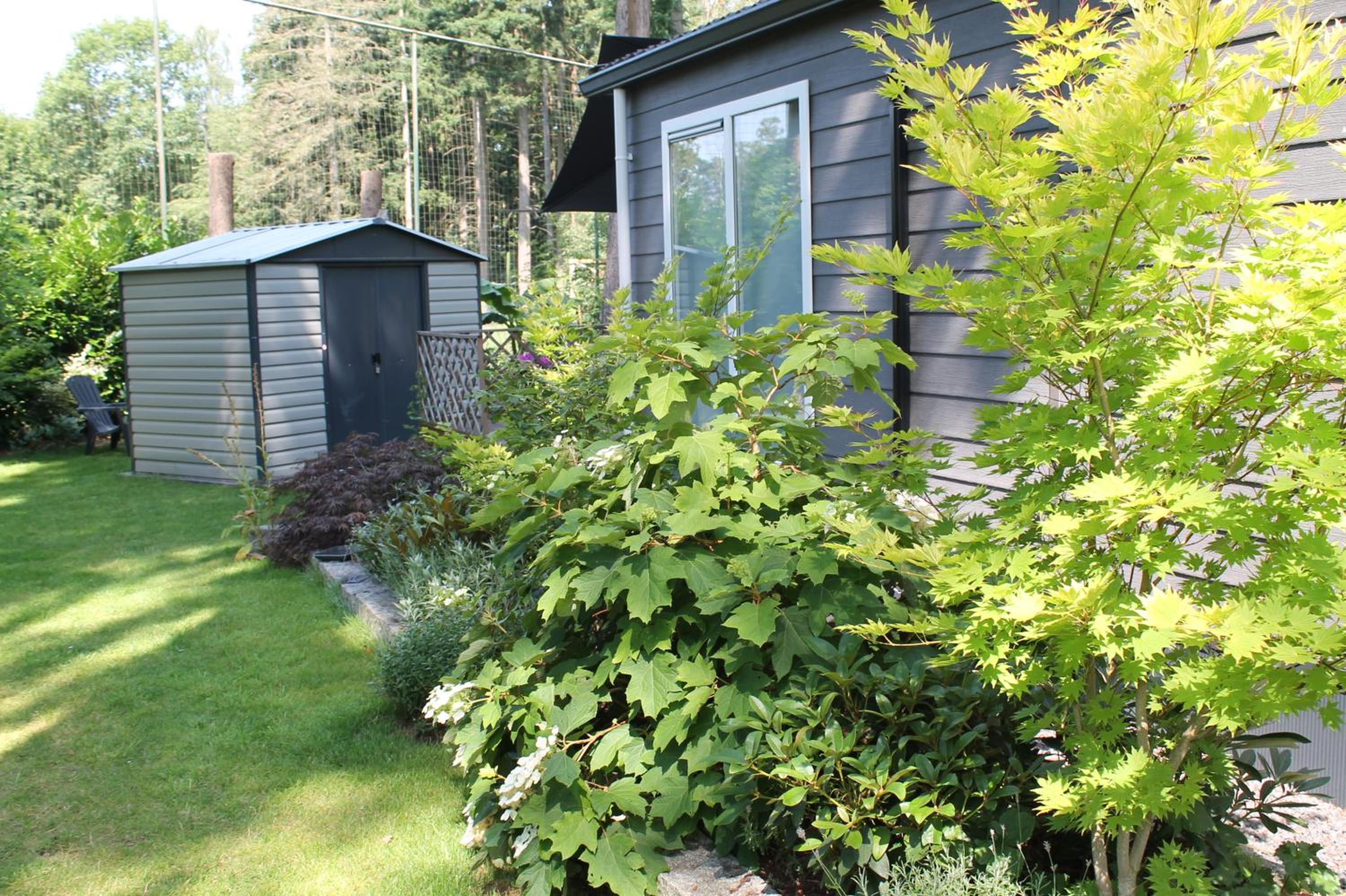 Photo 41