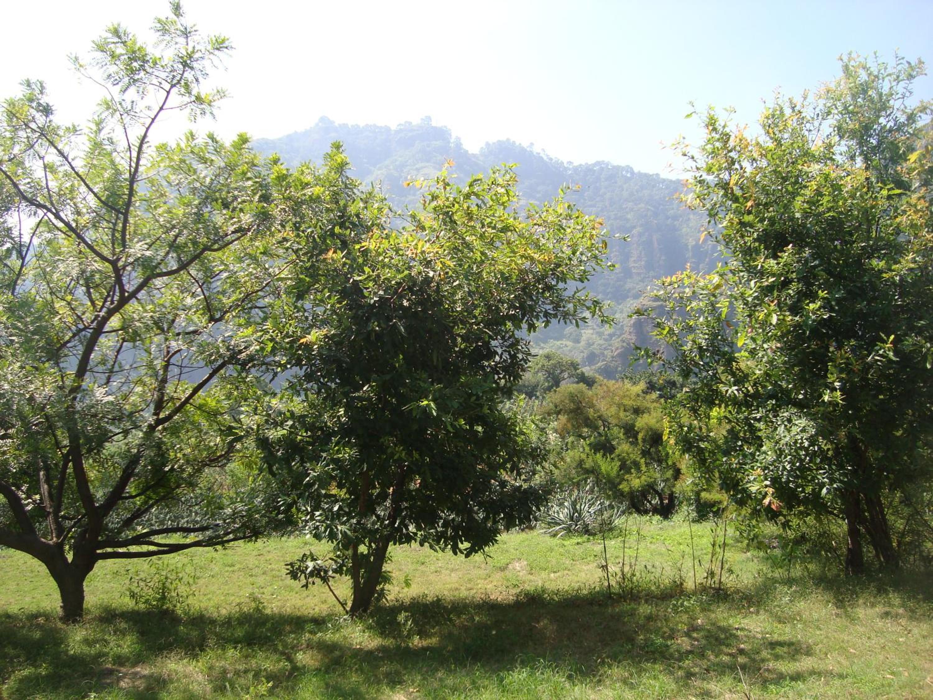 Photo 7