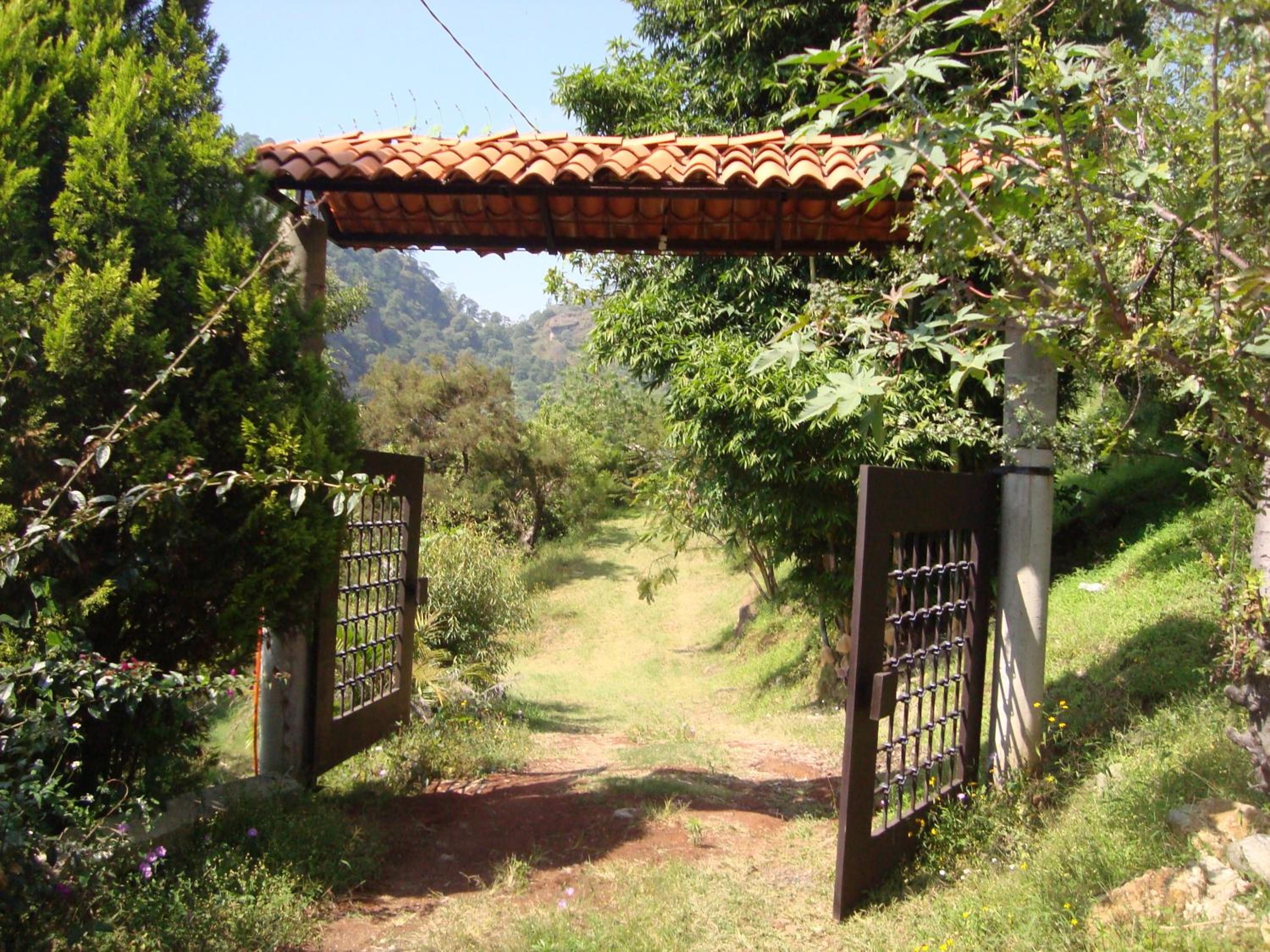 Photo 11