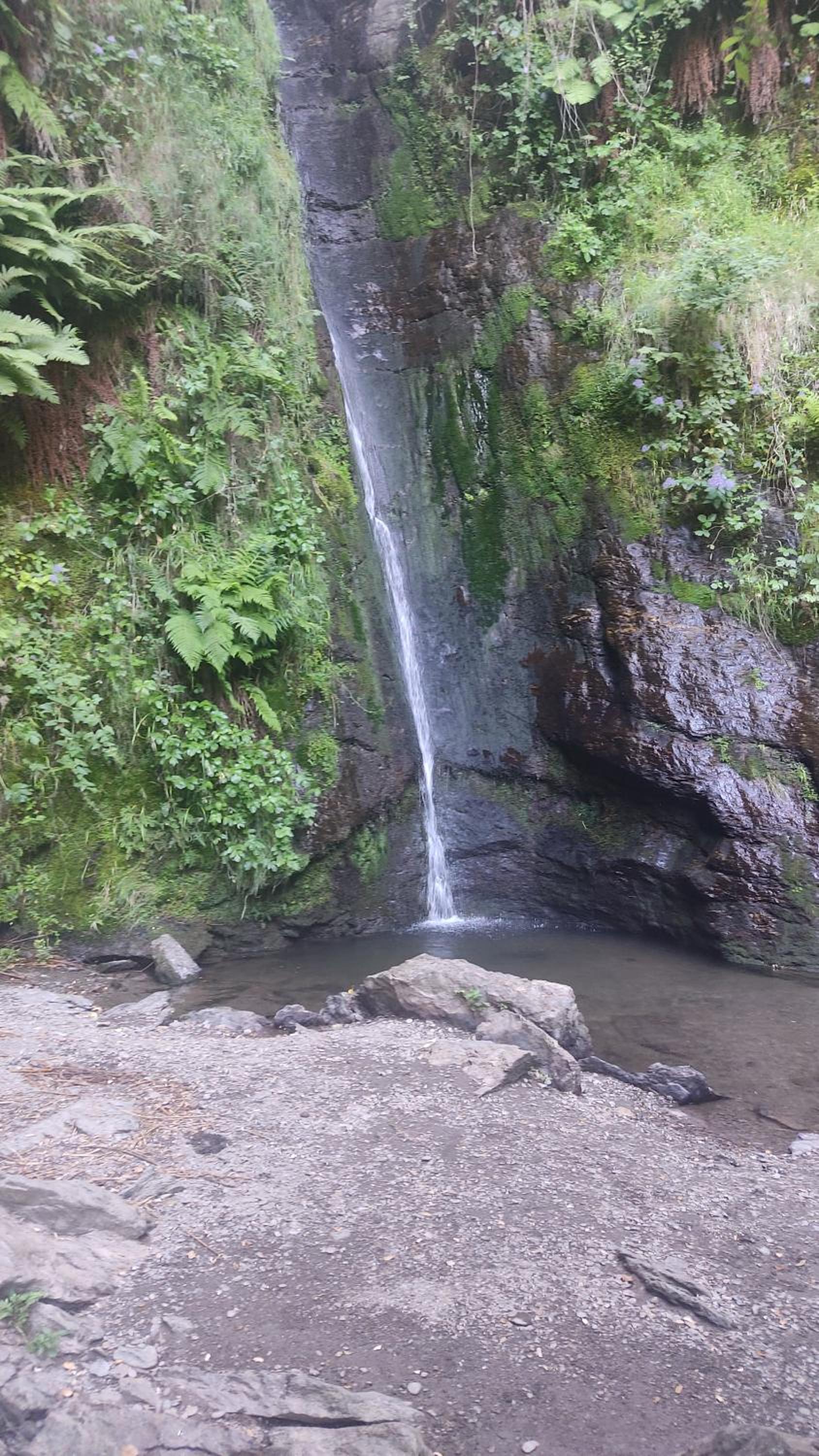other