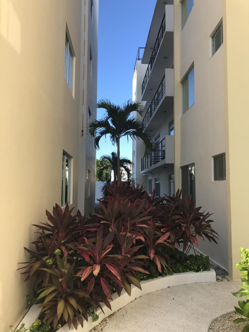PLAYA SUITES apartment