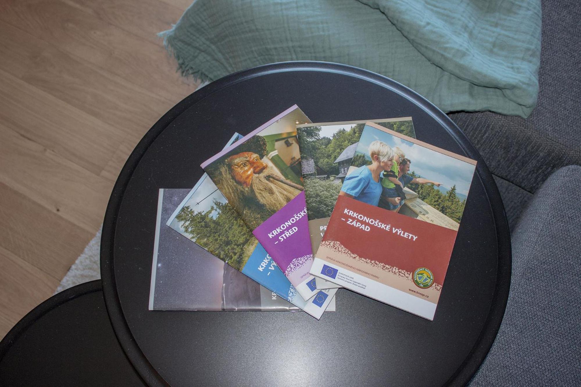 ENJOYHARRACHOV - Atraktivní slunný klimatizovaný apartmán 14 v centru se saunou, parkováním, Wifi-WLAN, SAT, herní konzolí, PC s win 10, Netflix zdarma a m