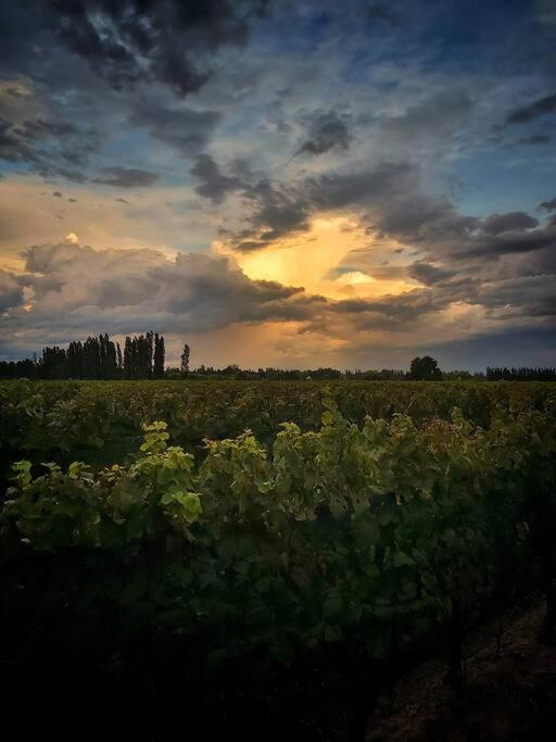 Bodega DURIGUTTI FAMILY WINEMAKERS