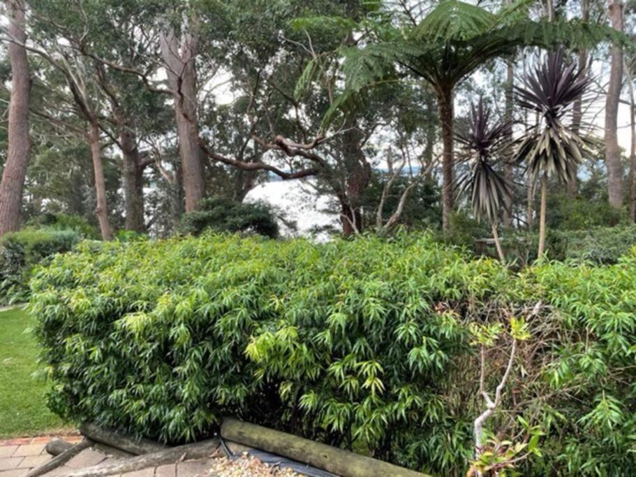 Jervis Bay Beachfront