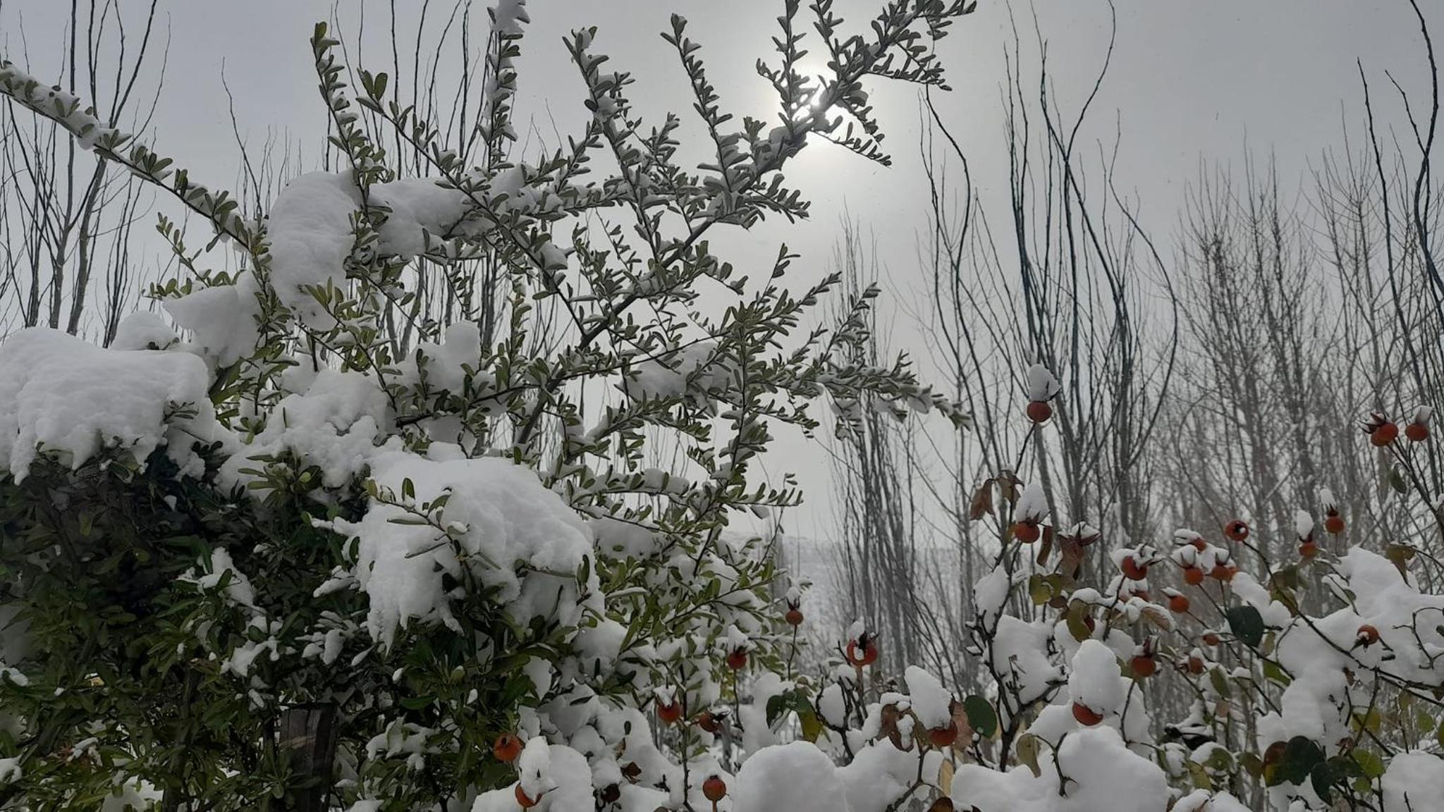 Nomade Mountain House
