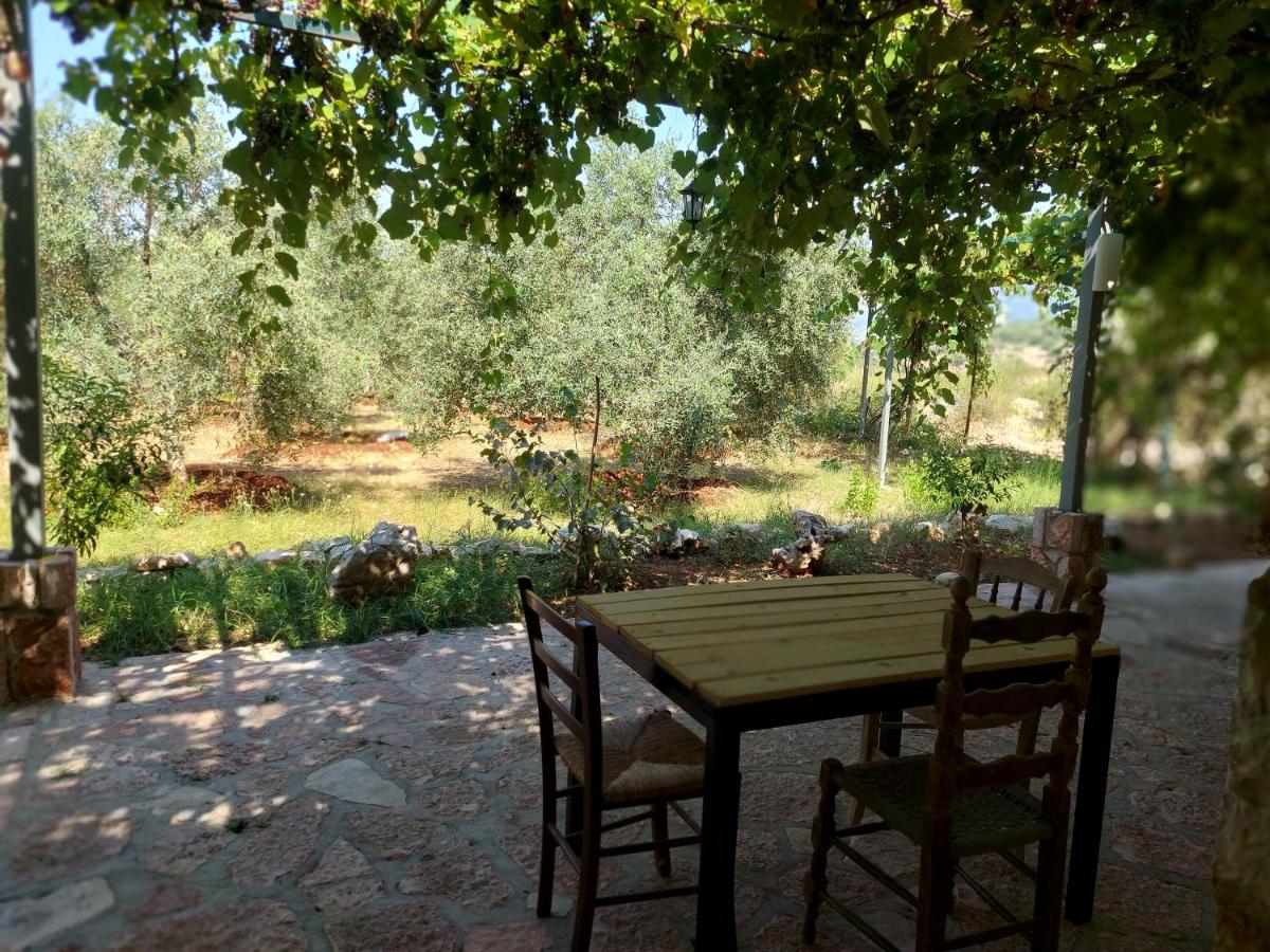 outdoor BBQ area