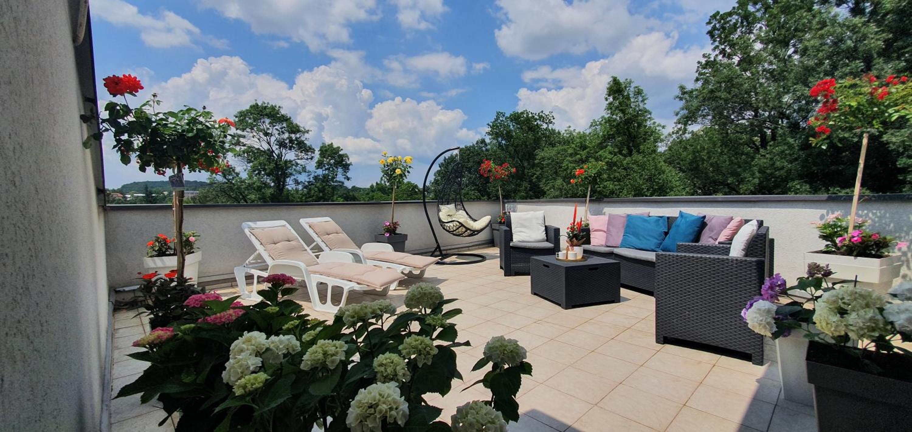balance & terrace