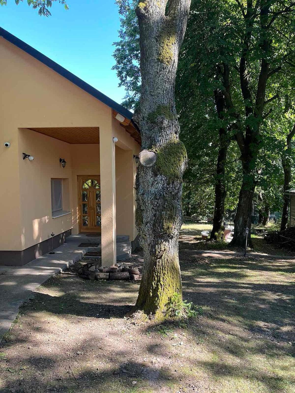 Photo 43