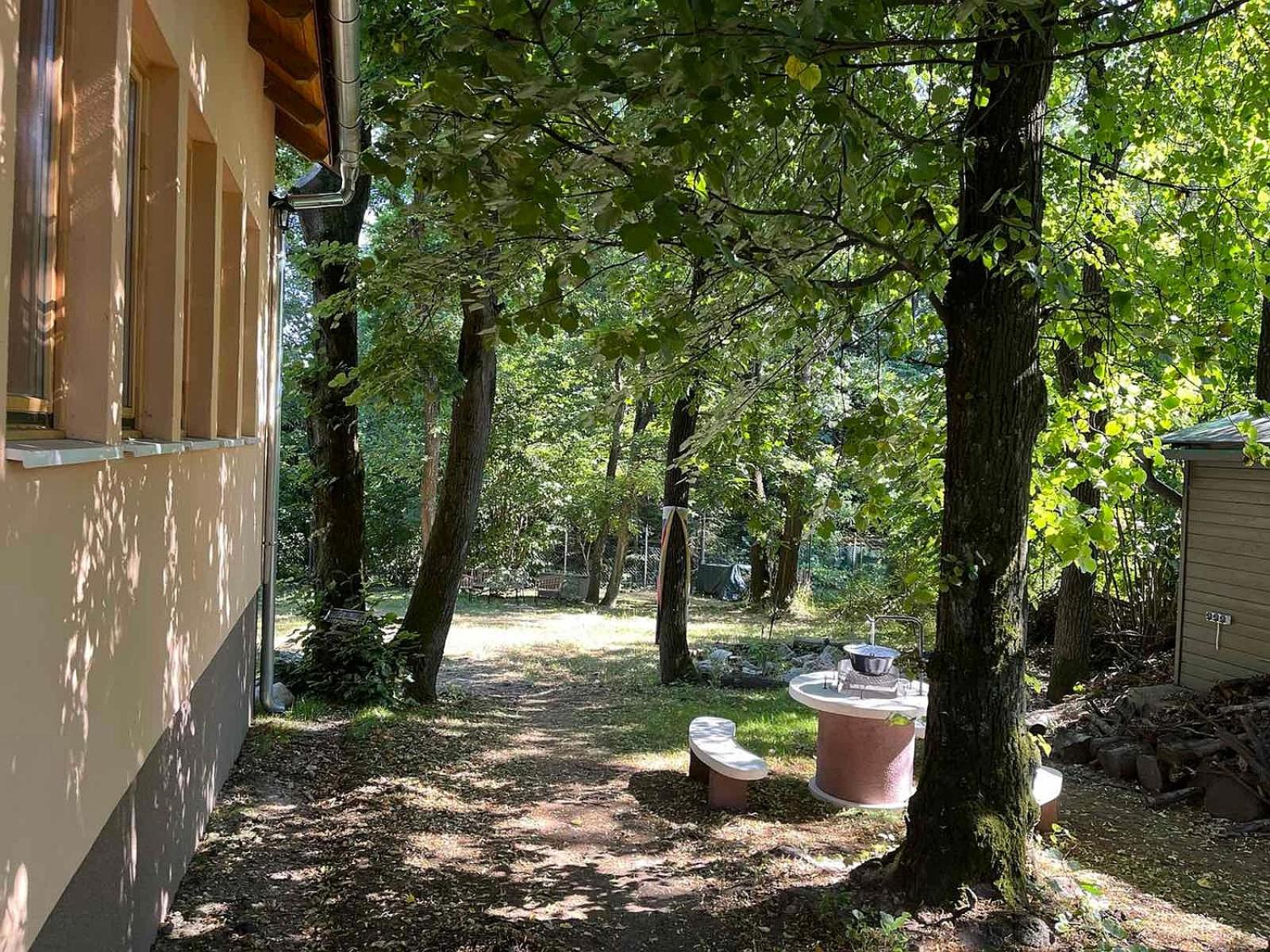Photo 45