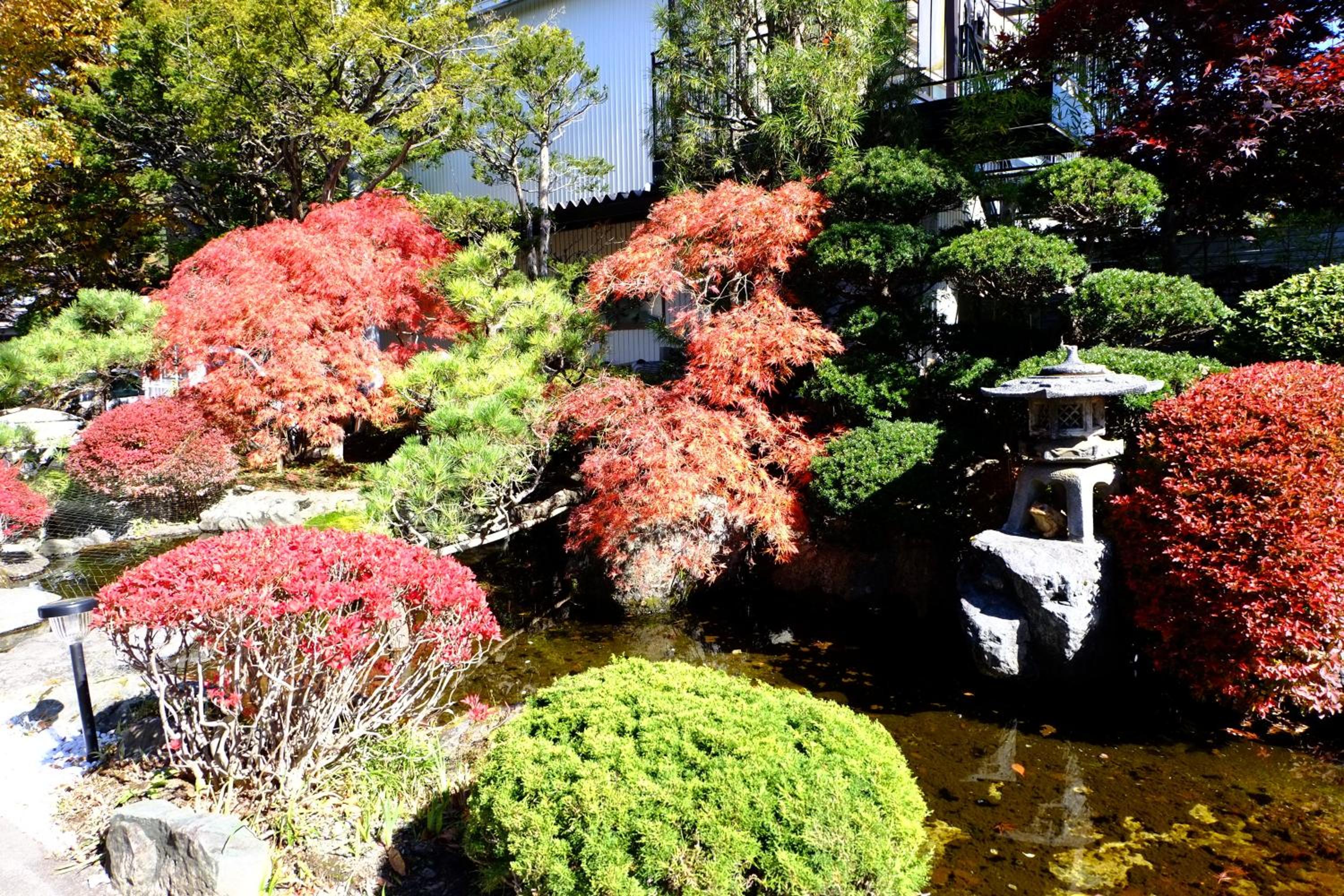 Lake Oshino