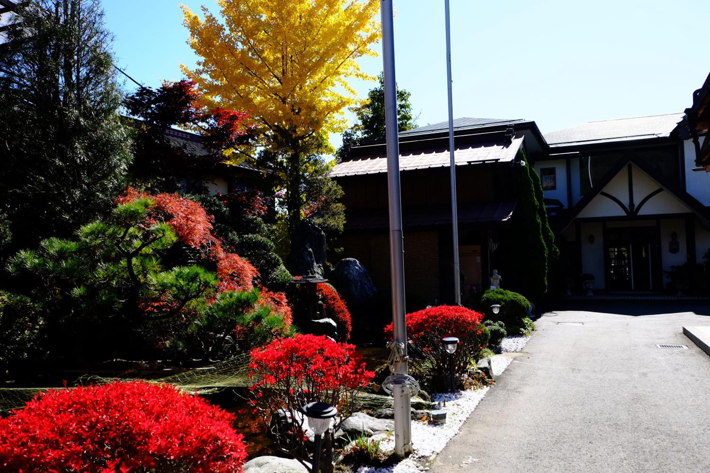 Lake Oshino