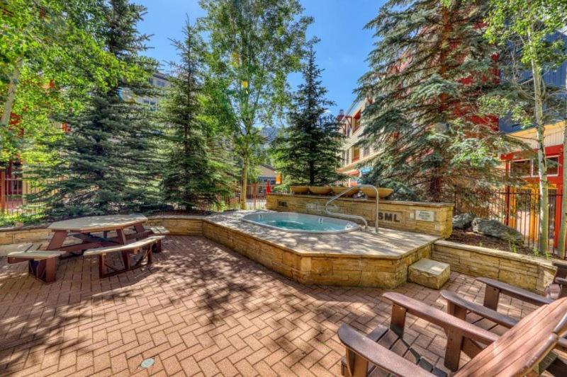 1 Bedroom Mountain Condo In River Run Village With Beautiful Mountain Views And Walking Distance To Ski view 2
