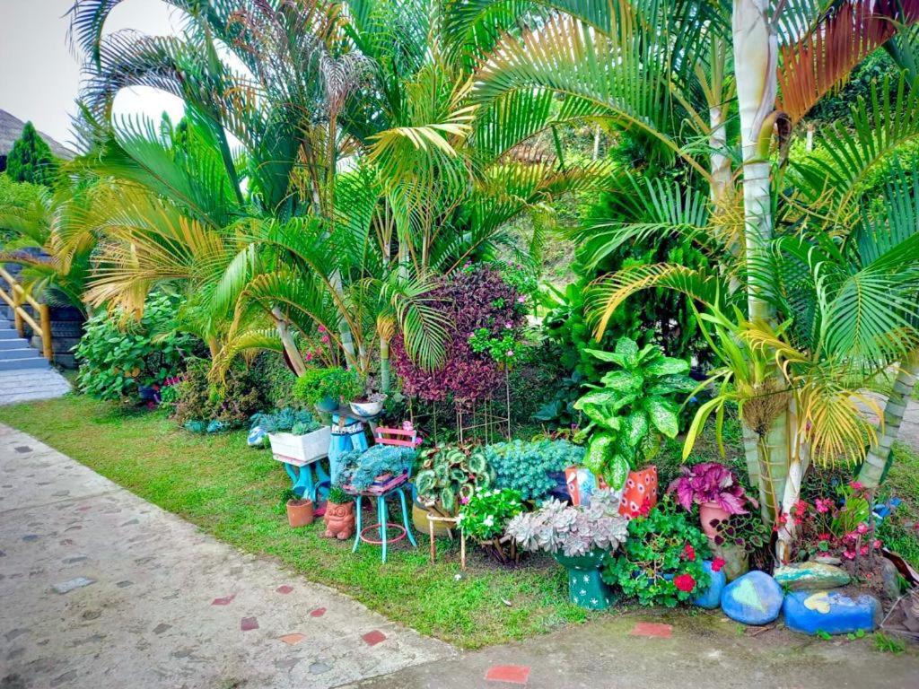 Solarte Hostel
