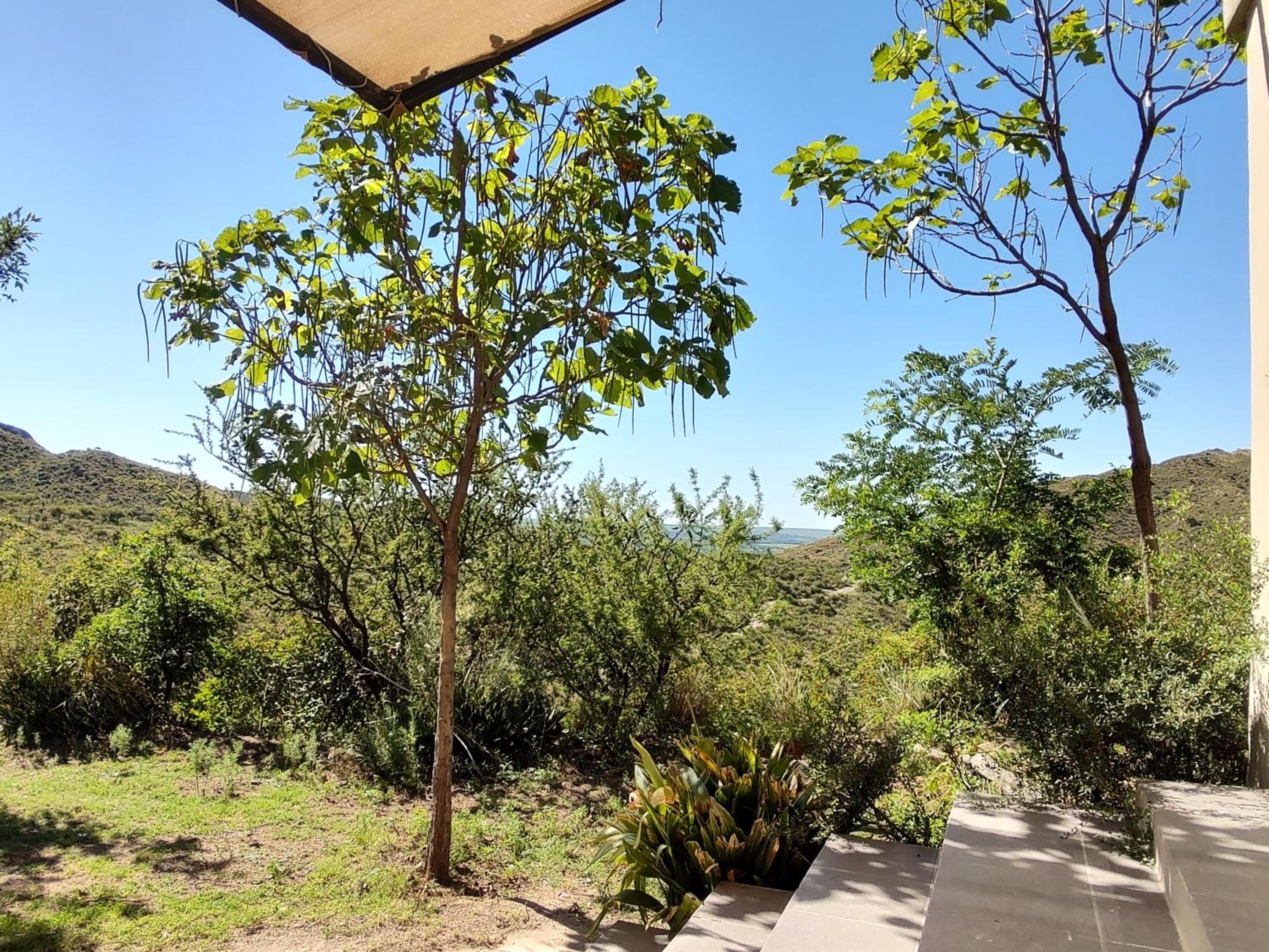 Potrero del Rey