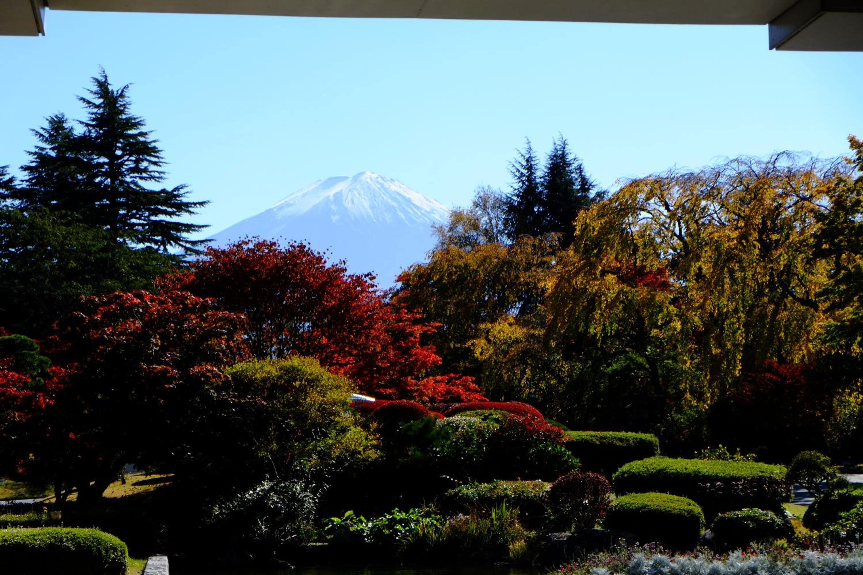 Fuji View Hotel