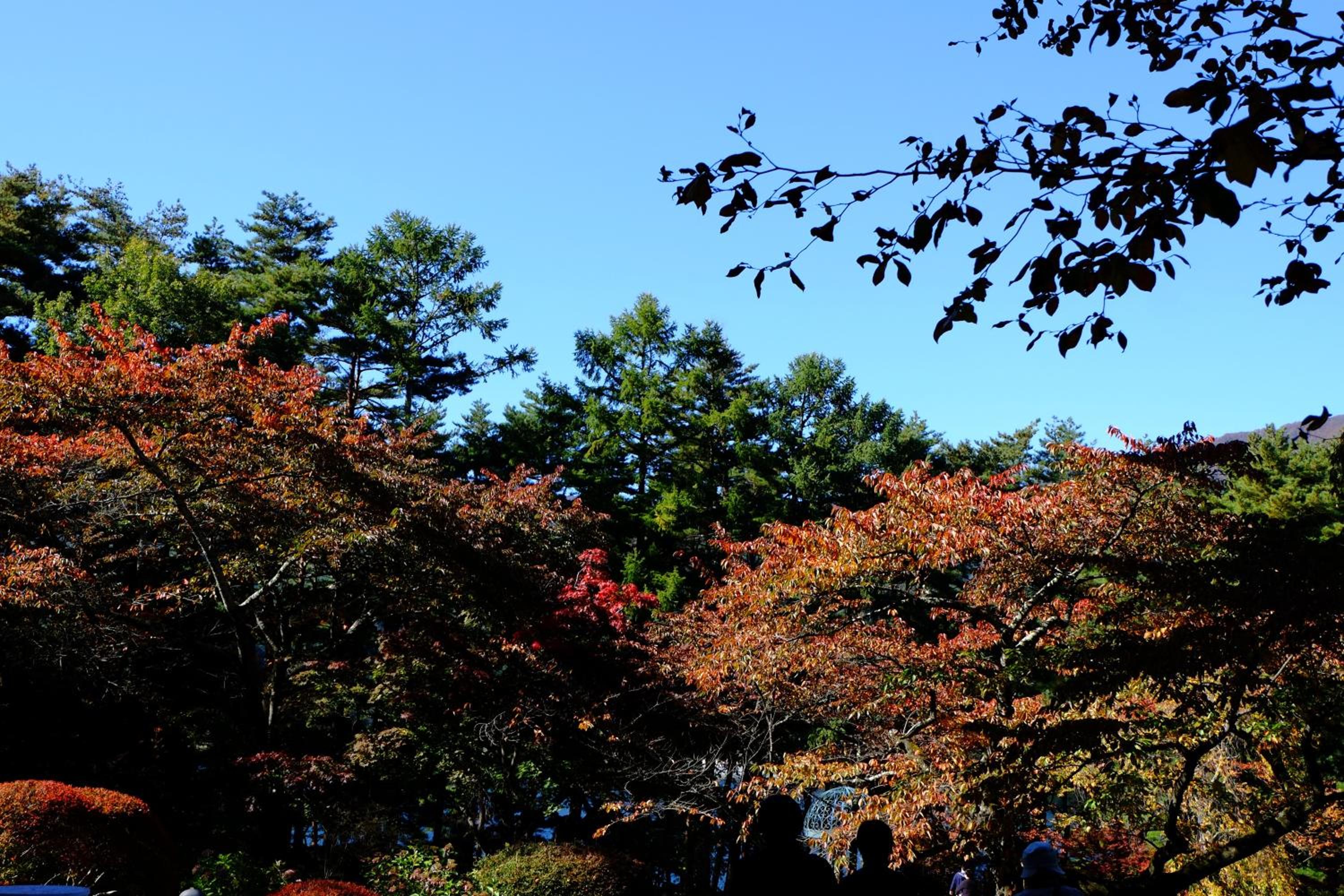 Fuji View Hotel