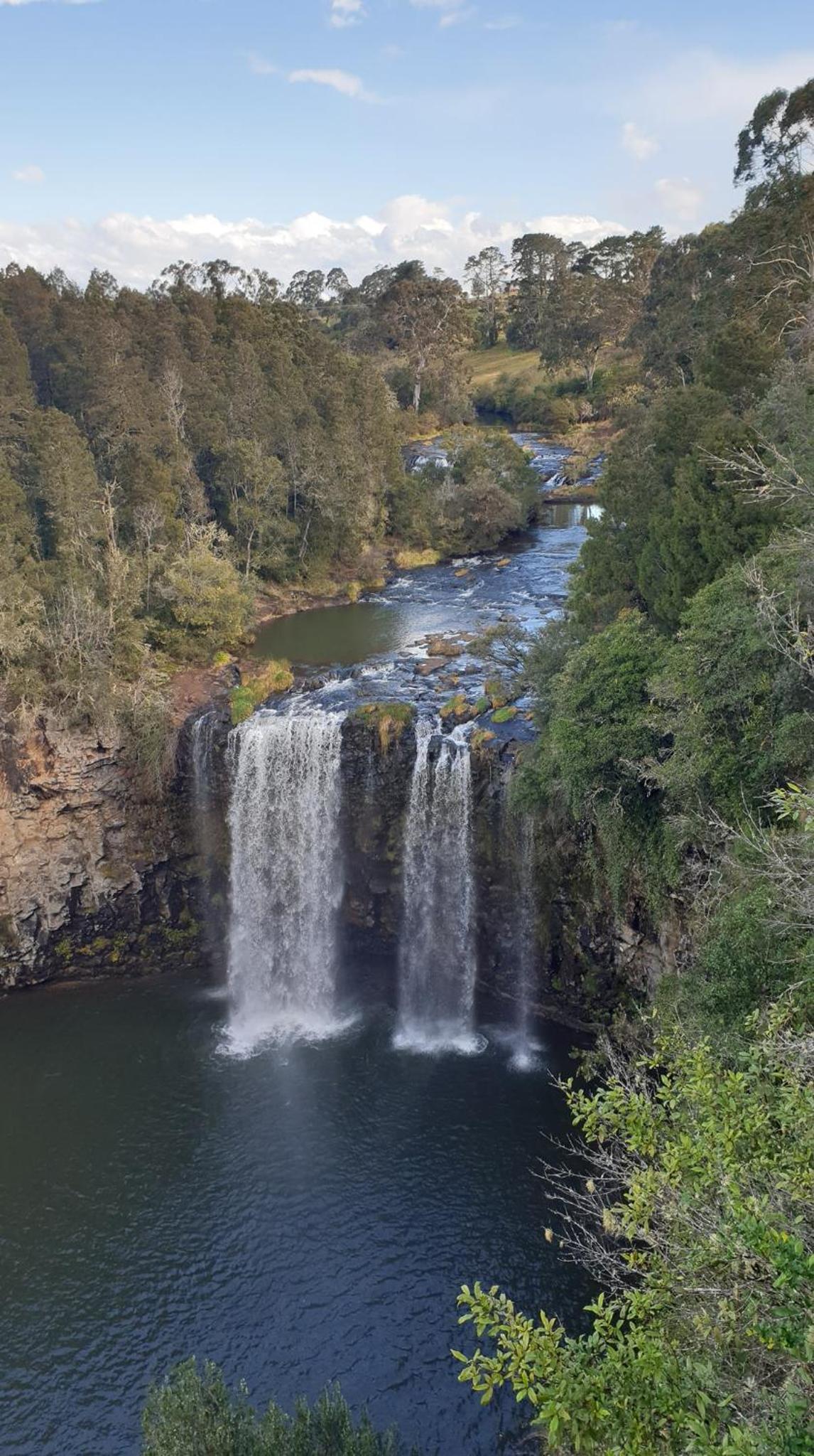 Dorrigo Bush Pepper Retreat