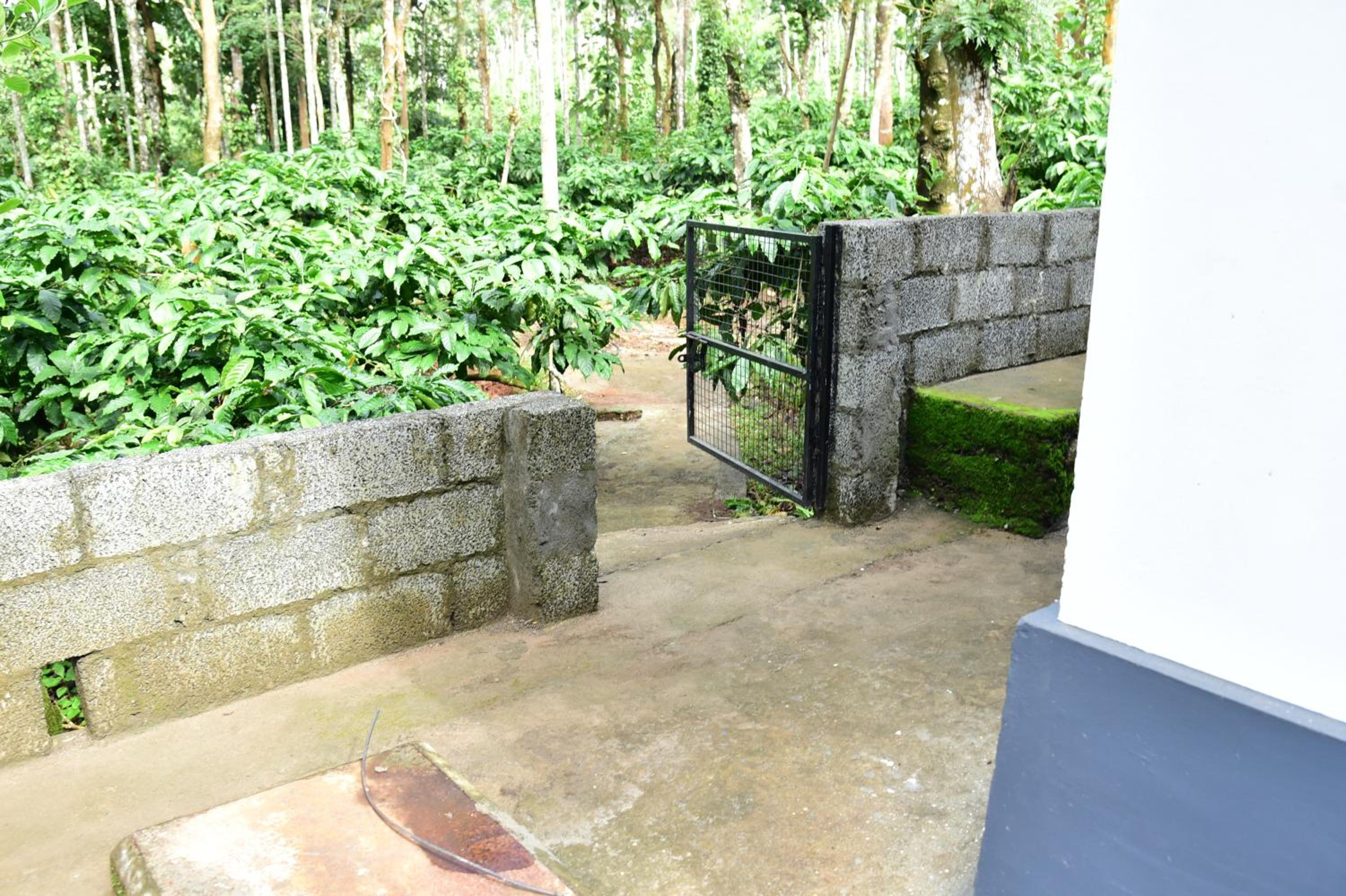 Photo 28