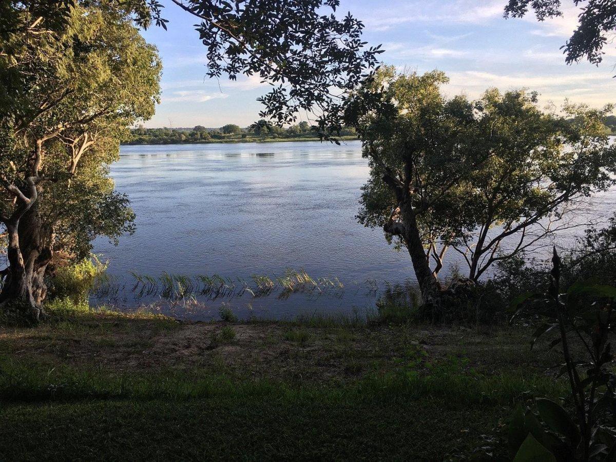Photo 46