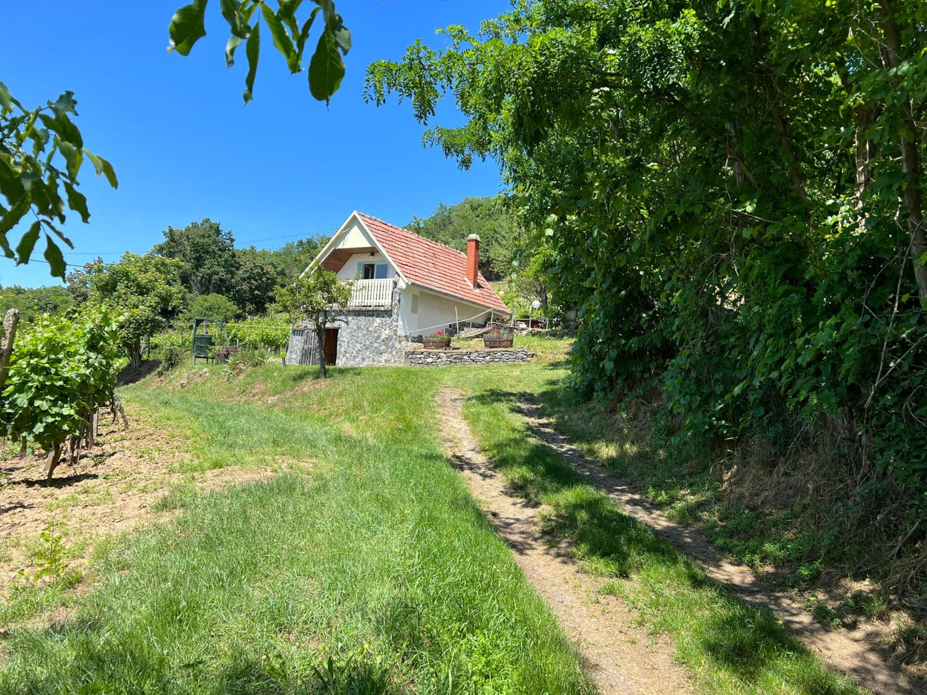 Photo 16