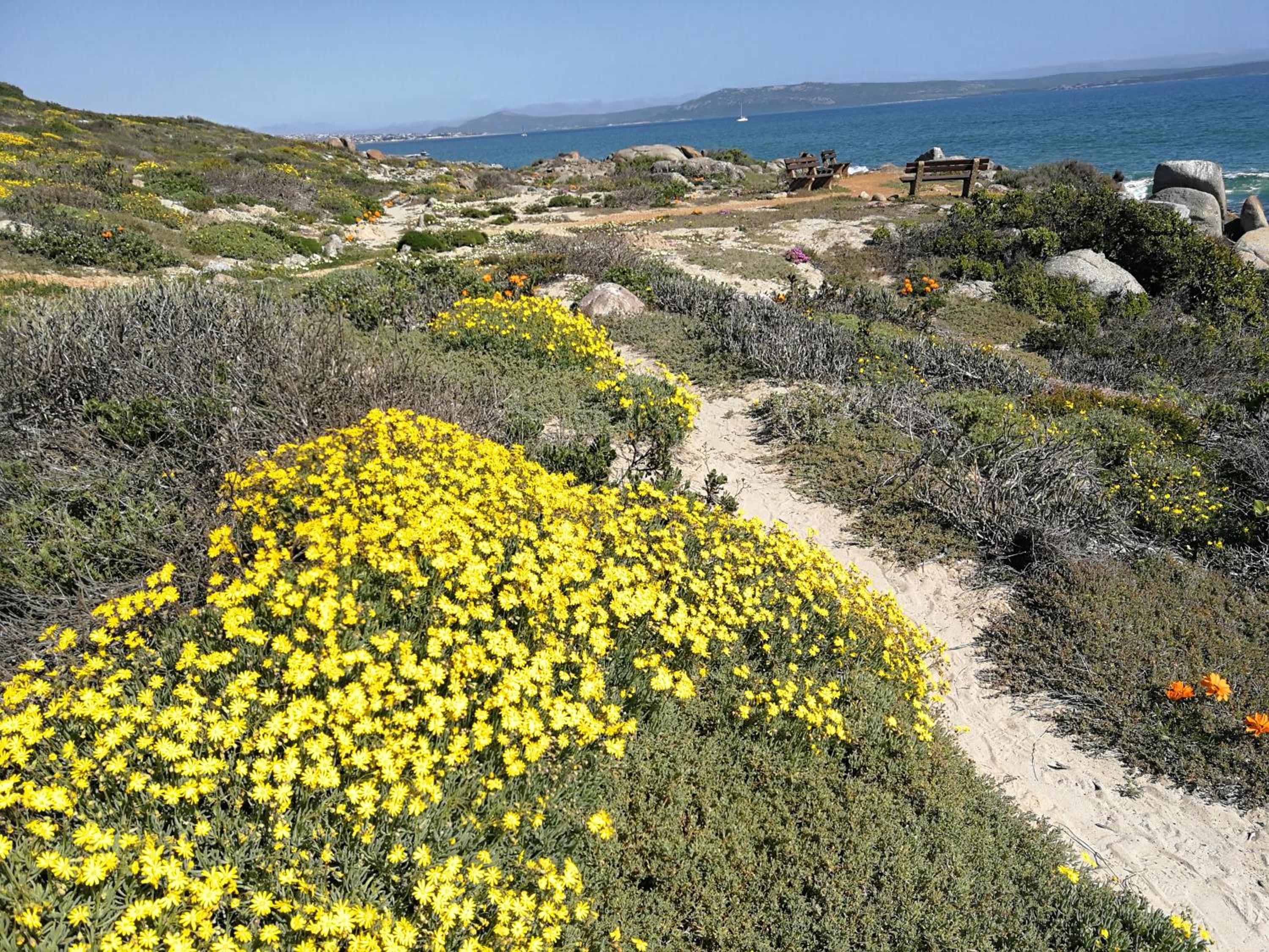 Langebaan Paradise Beach 9 Elara