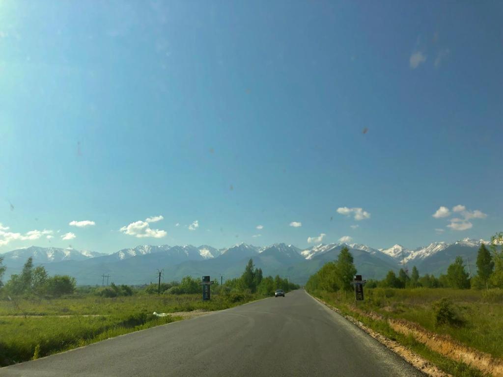Photo 46