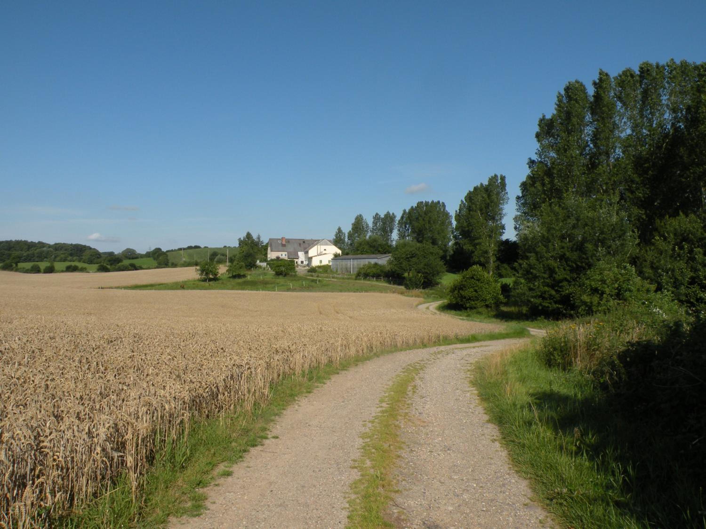 Photo 20