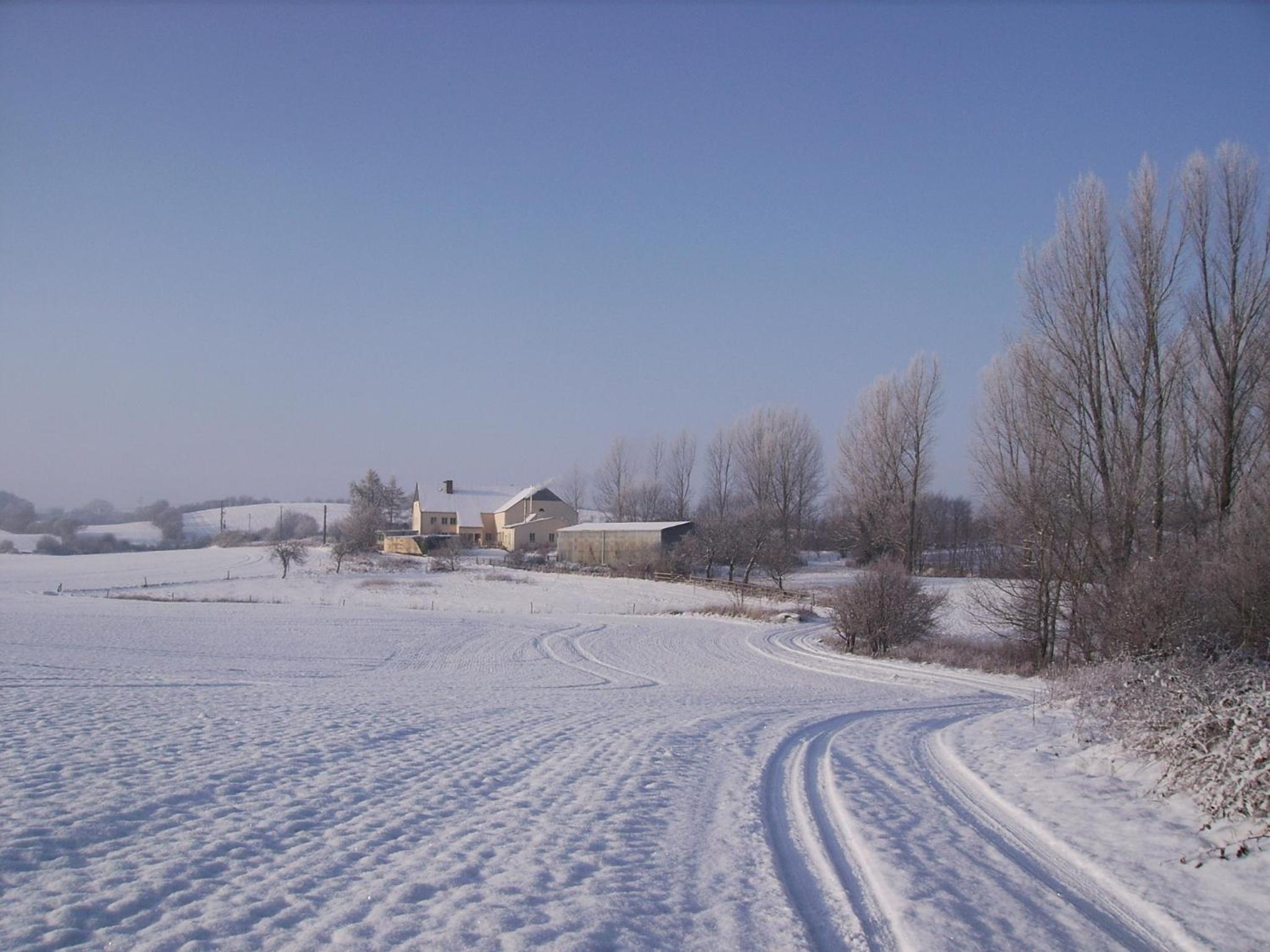 Photo 27