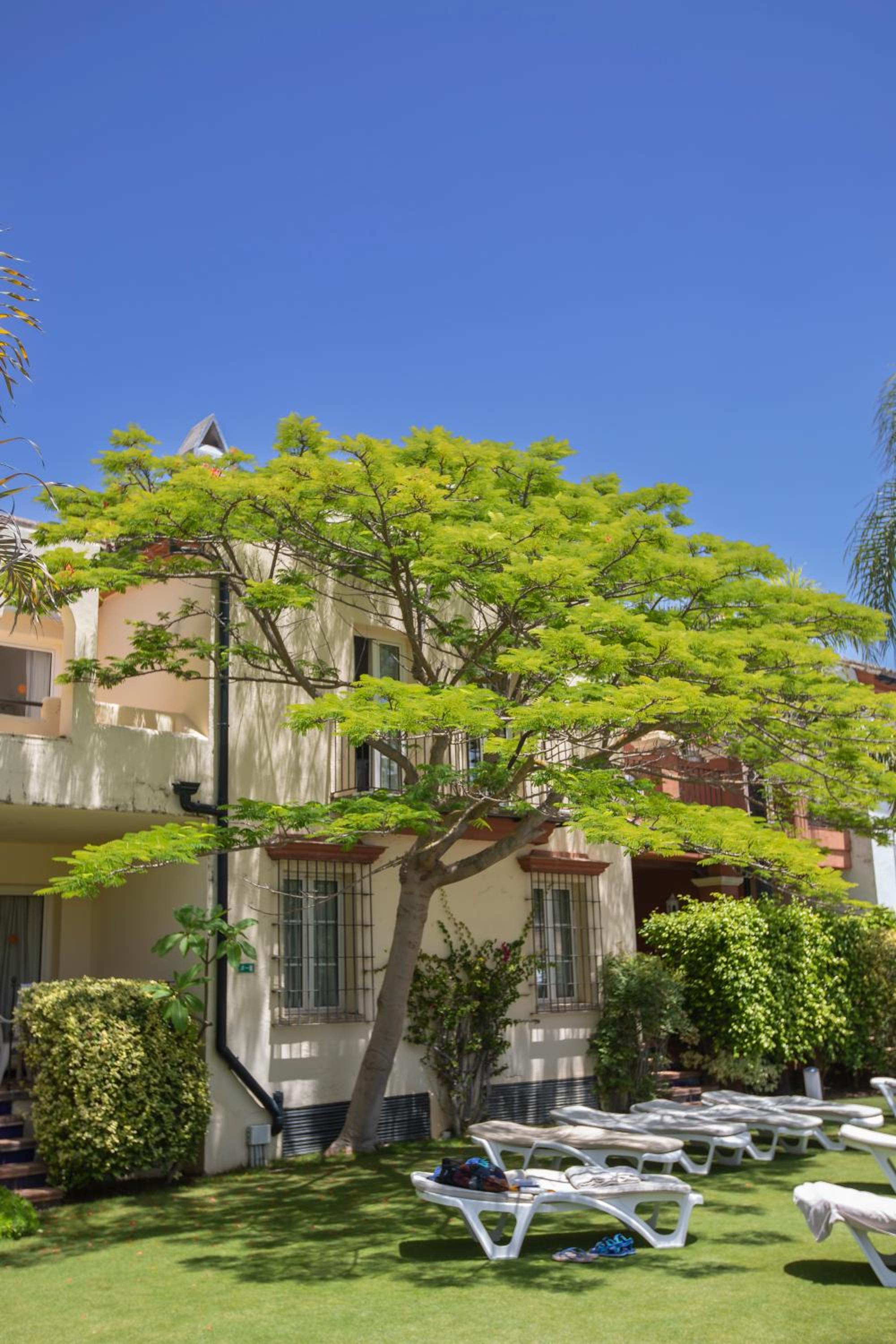 El Puerto de Santa Maria Vacations - Apartamentos Soho Boutique Vistahermosa - Property Image 20