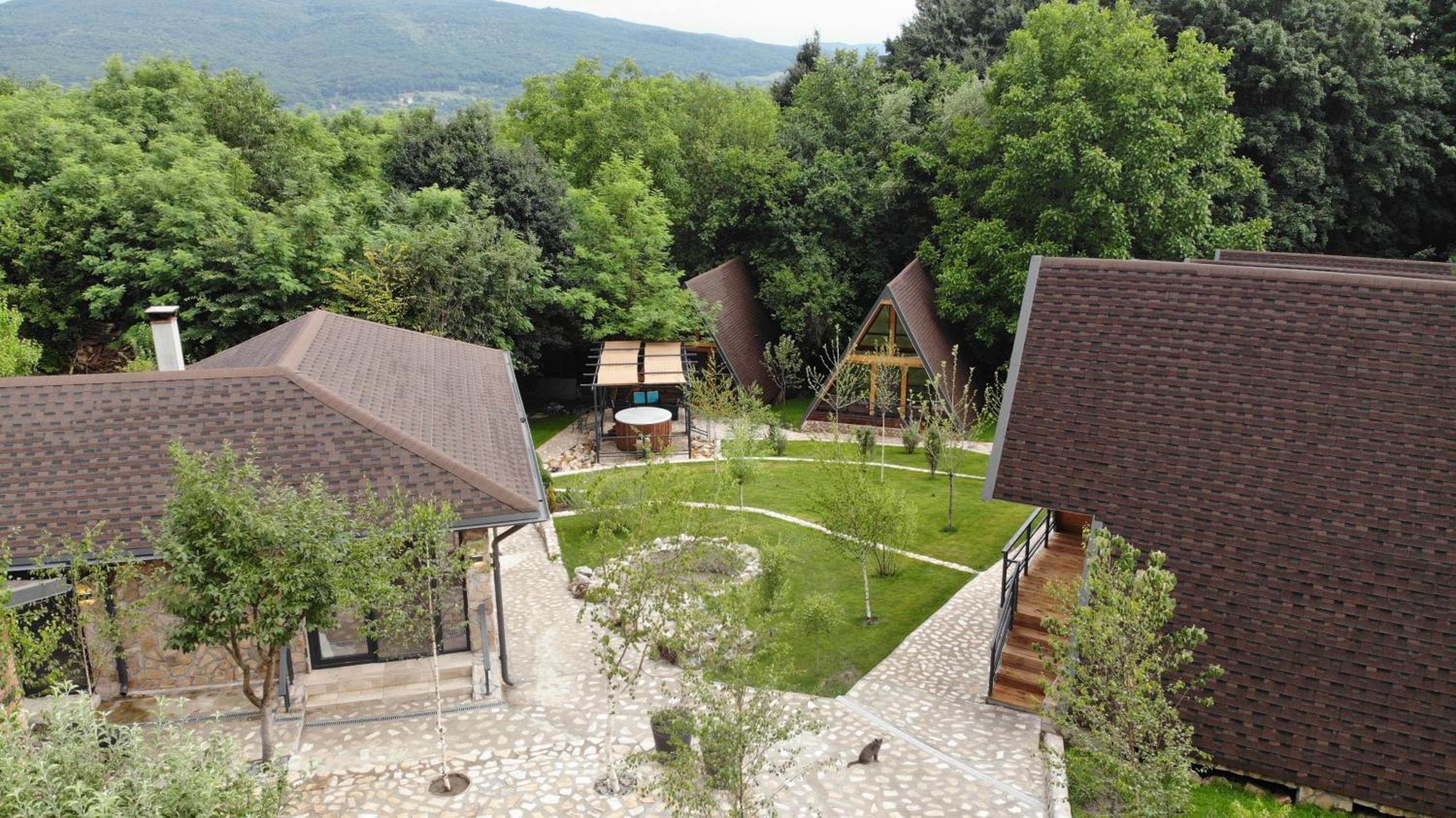 Valea cu Dor Verde view 4