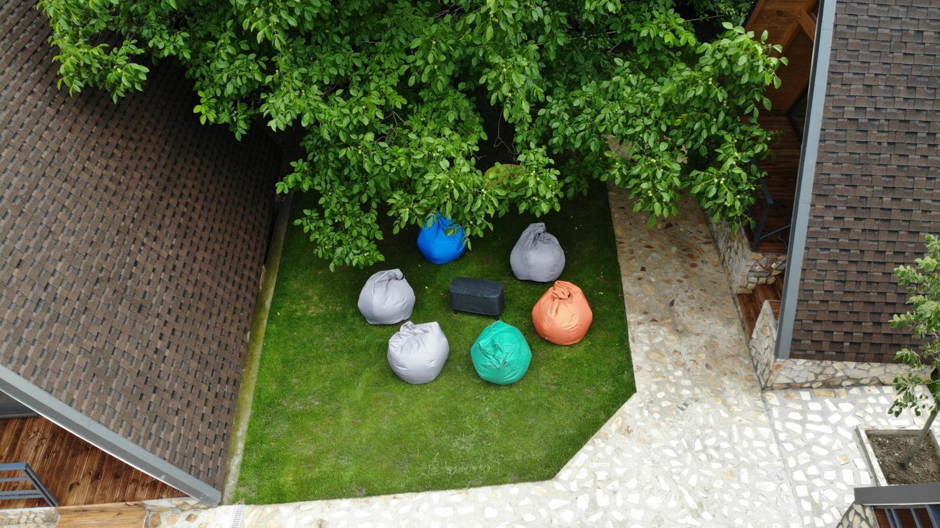 Photo 7