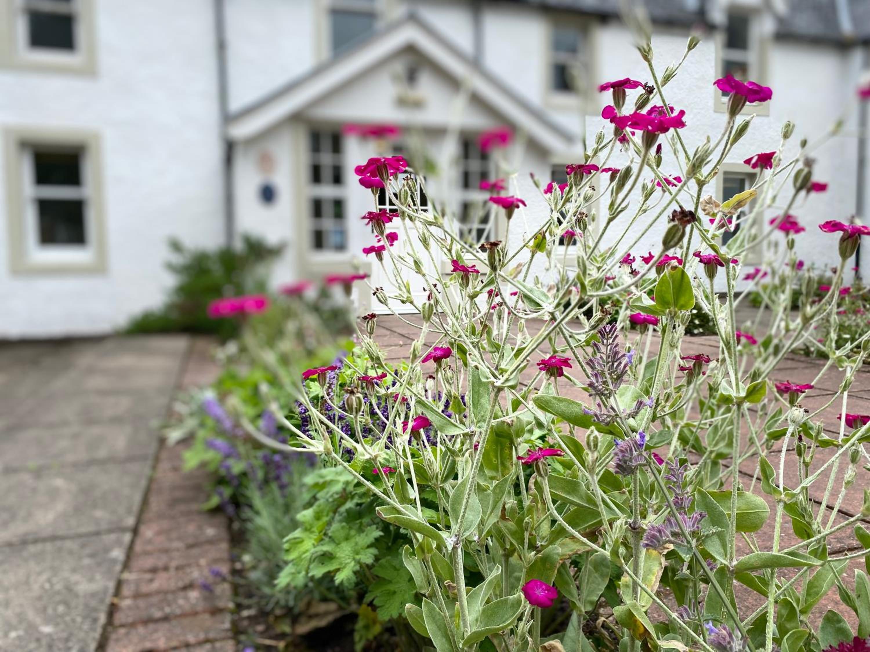 Hartfield House Hostel