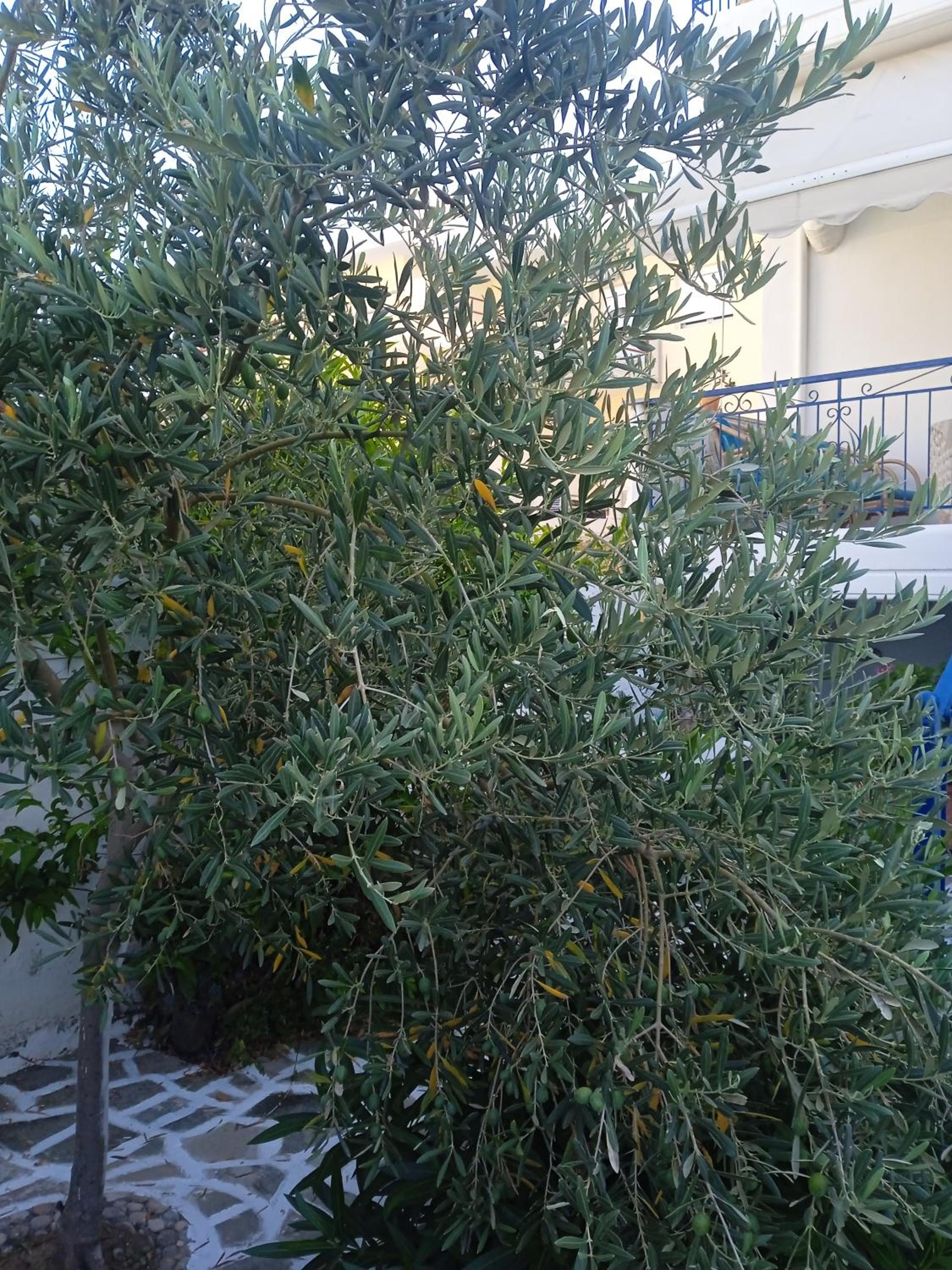 Photo 28