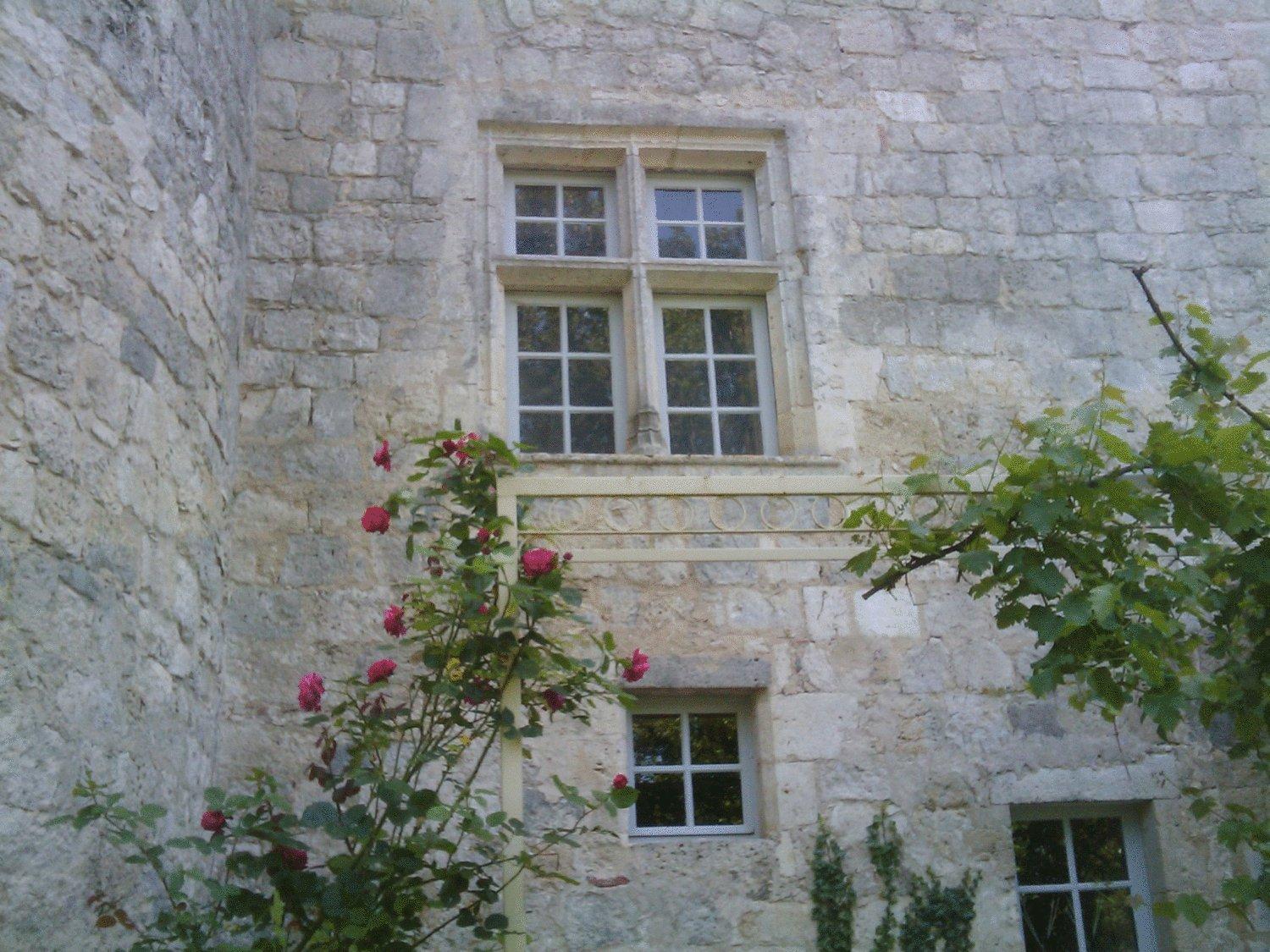 Photo 15