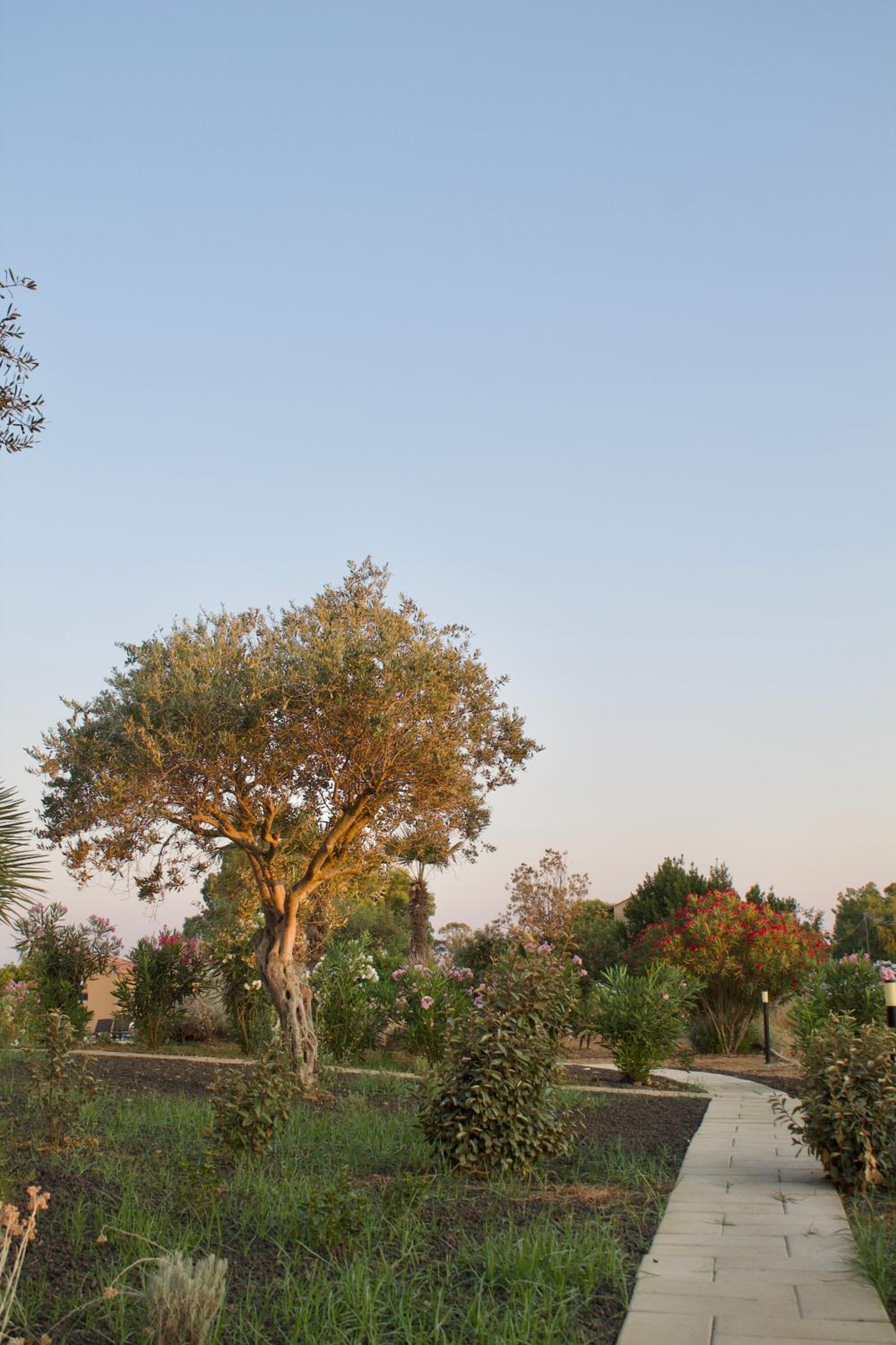 MARIS Apartments - Holiday Homes