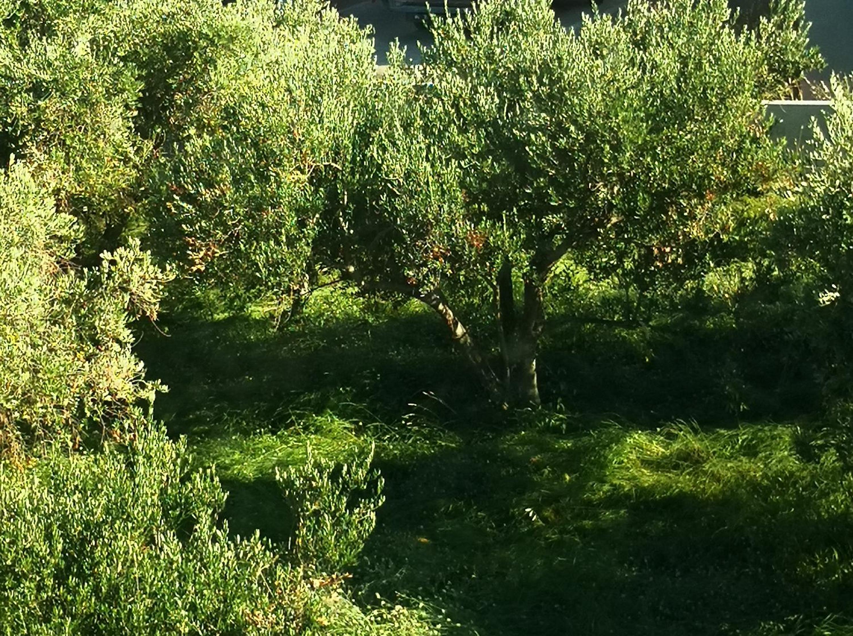 Photo 41