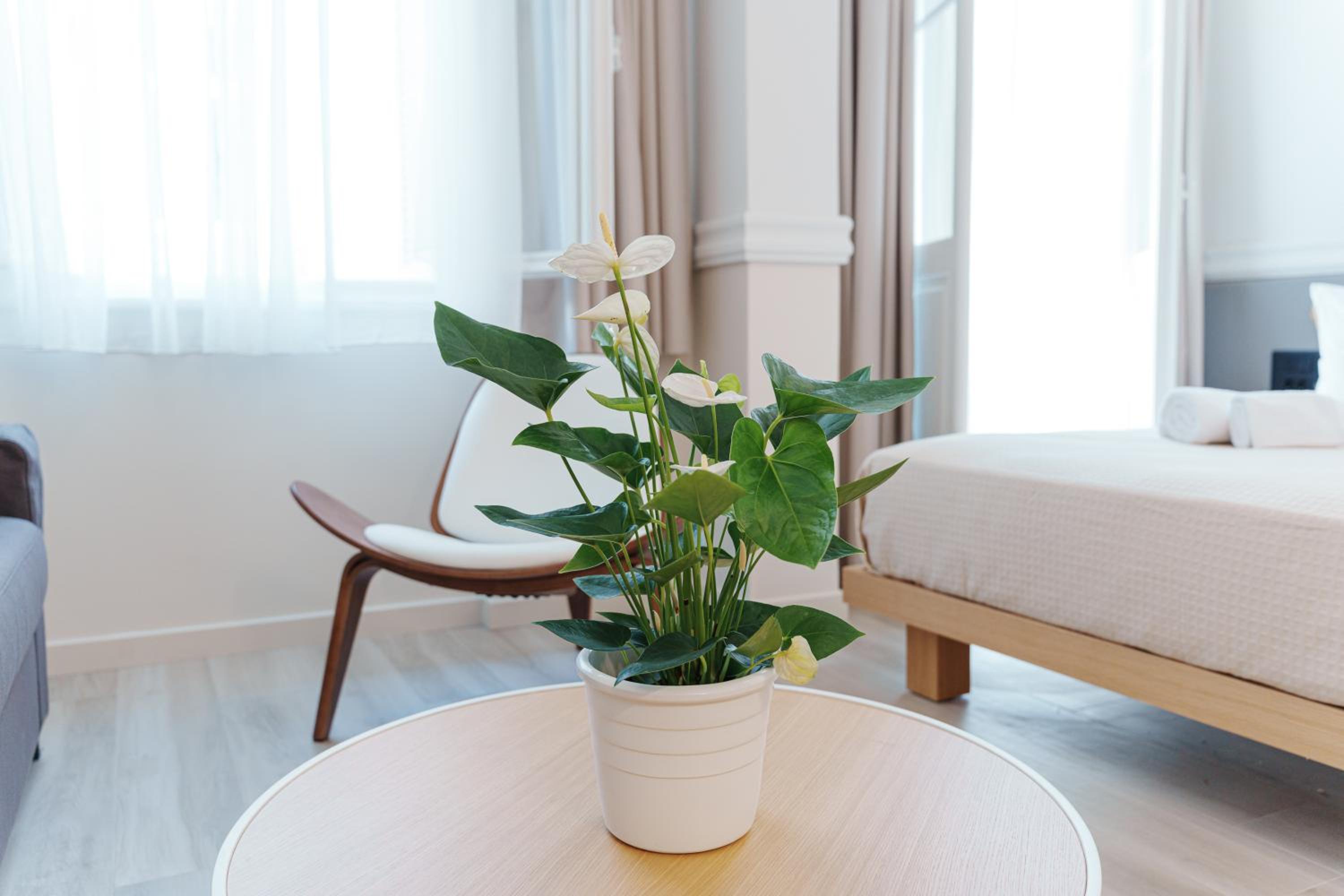Agora Athens Suites