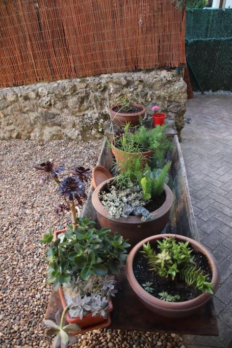 Casascobo 1 - Property Image 9